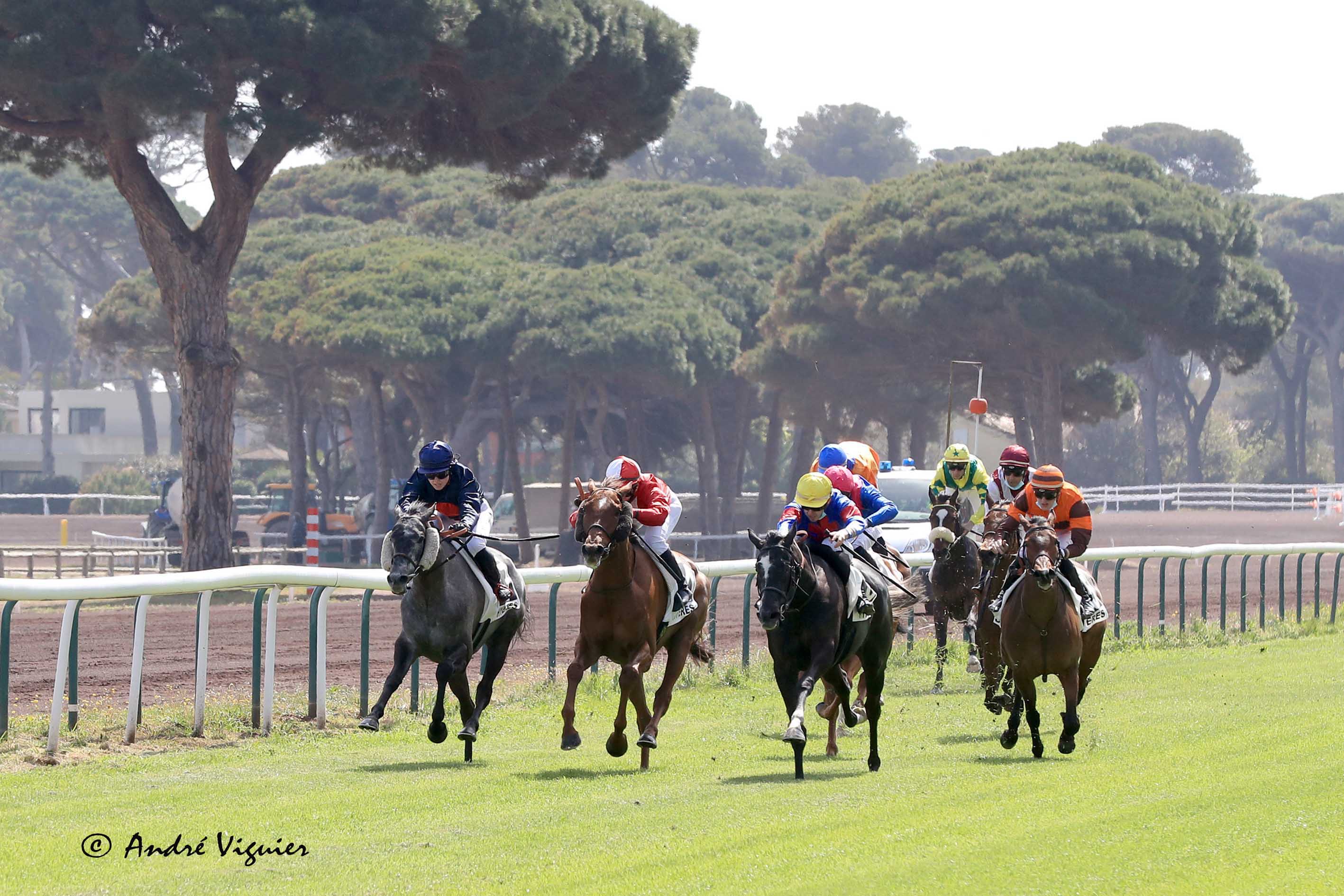 Hippodrome de la plage Hyères - André Viguier