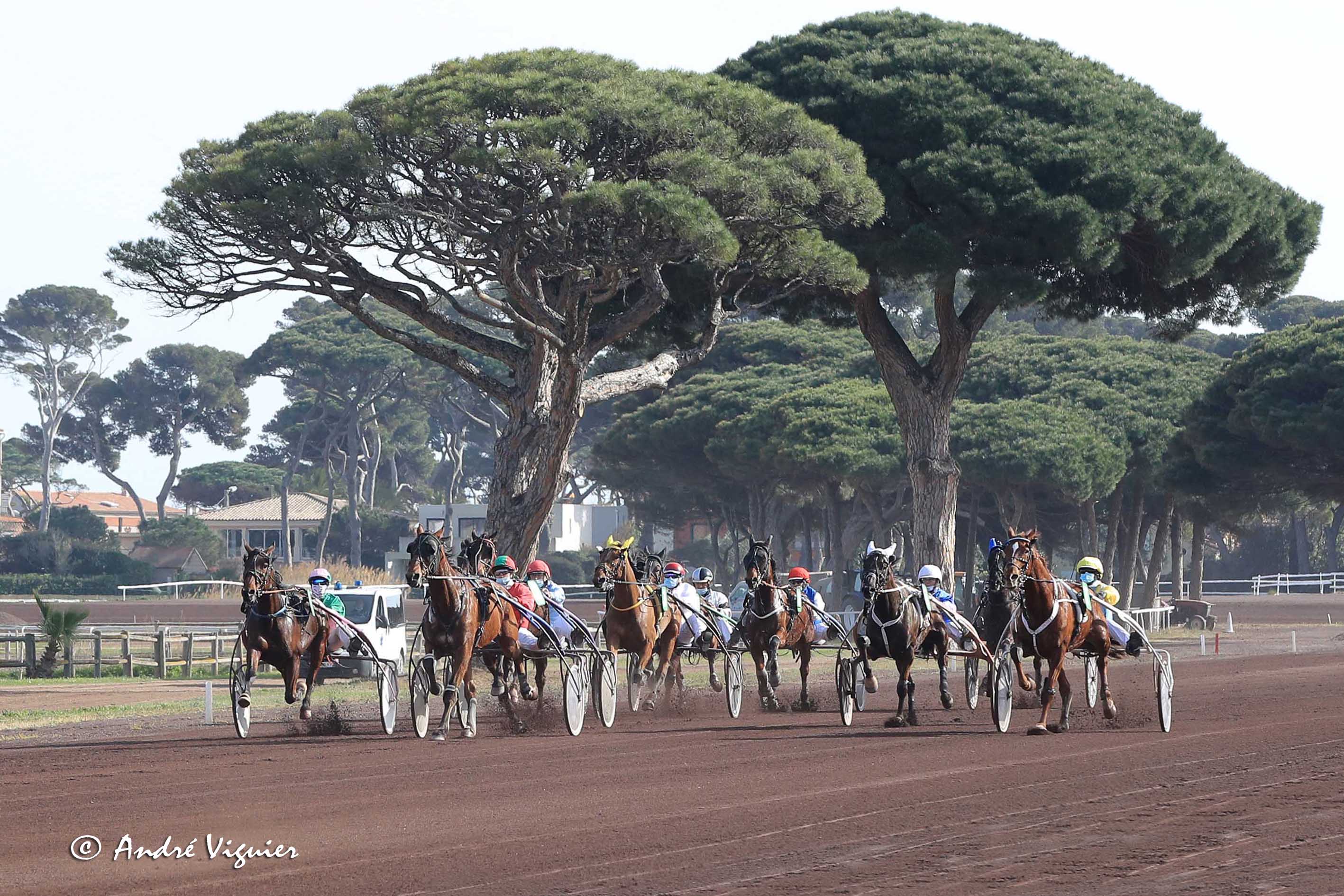 Hippodrome de la plage Hyères - André Viguier