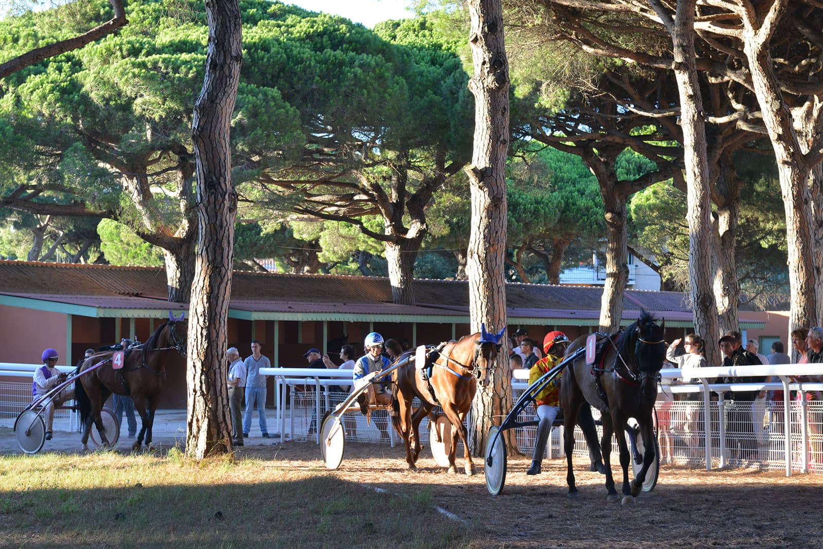 Courses hippiques à l'hippodrome d'Hyères - Courses hippiques à l'hippodrome d'Hyères