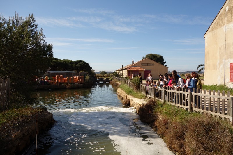 visite guidée au pays du sel salin des pesquiers enfants ludique - Hyères tourisme