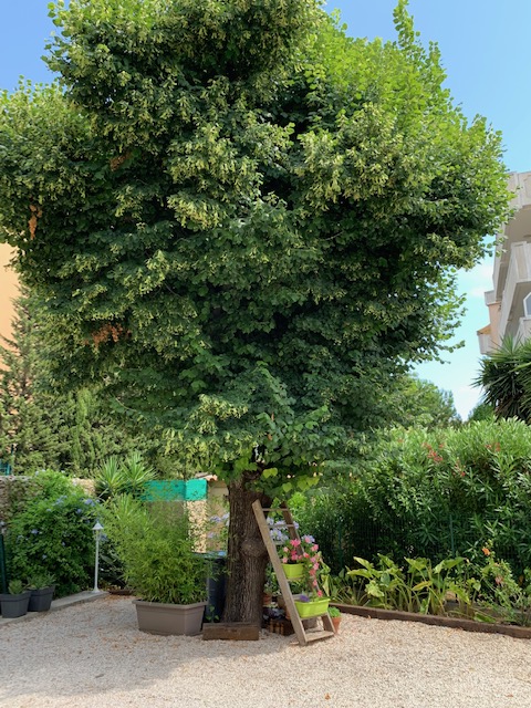 Appartement T3 - Mme Barnel - Barnel