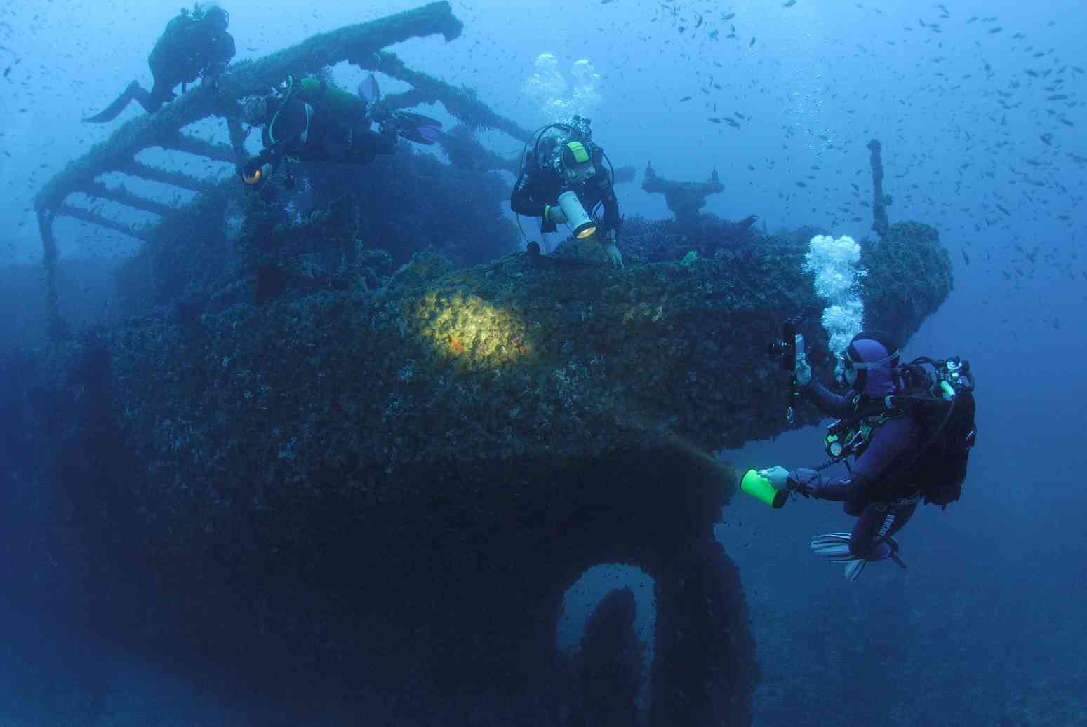 Plongeeo Club de plongée Hyères - Plongeeo Club