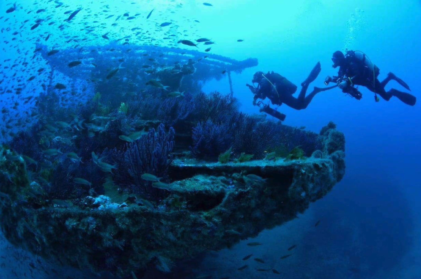 Plongeeo Club de plongée Hyères - Plongeeo Club