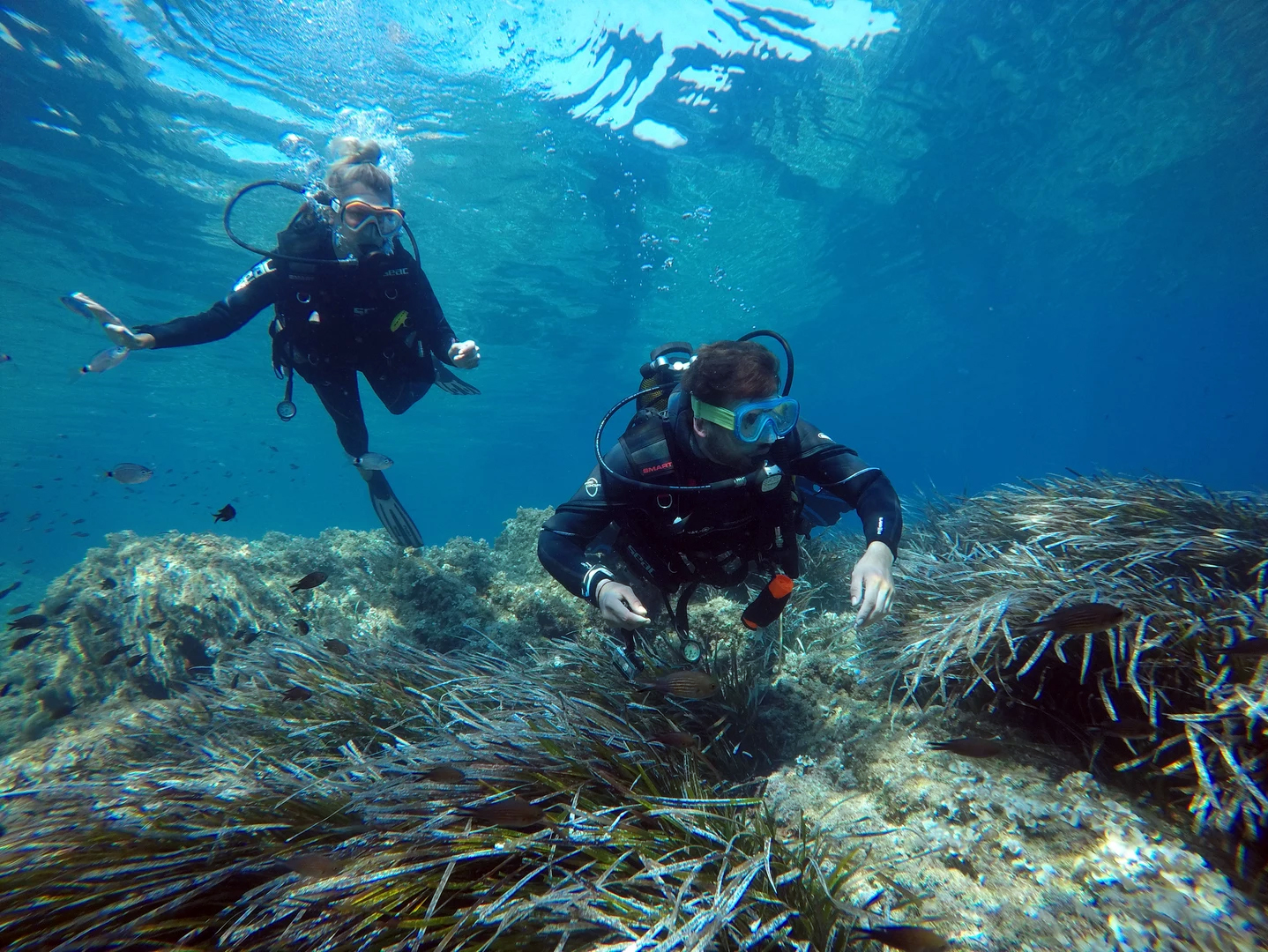 Randomarine - Randomarine