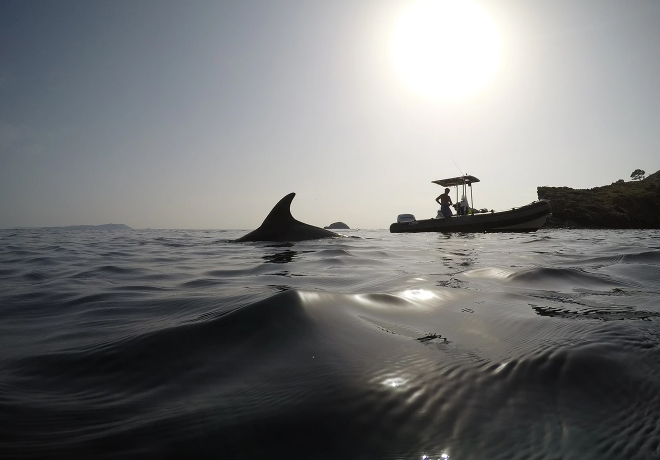 LA photo de l'année - Randomarine