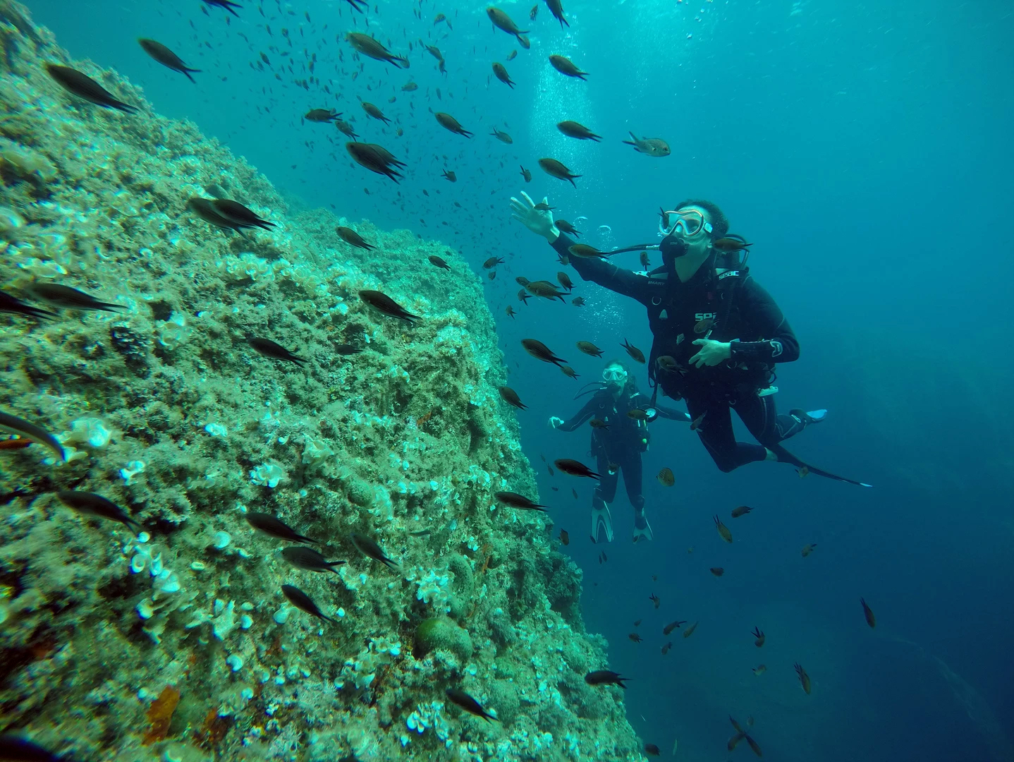 Castagnoles - Randomarine