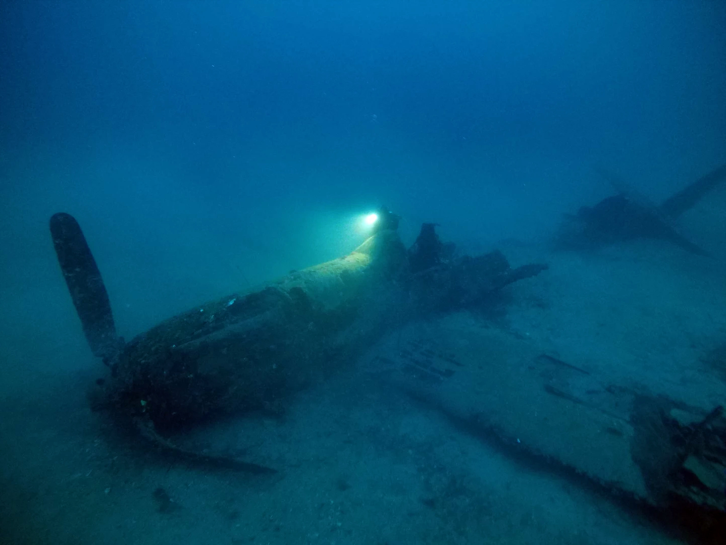 Le Mustang de l'Almanarre - Randomarine