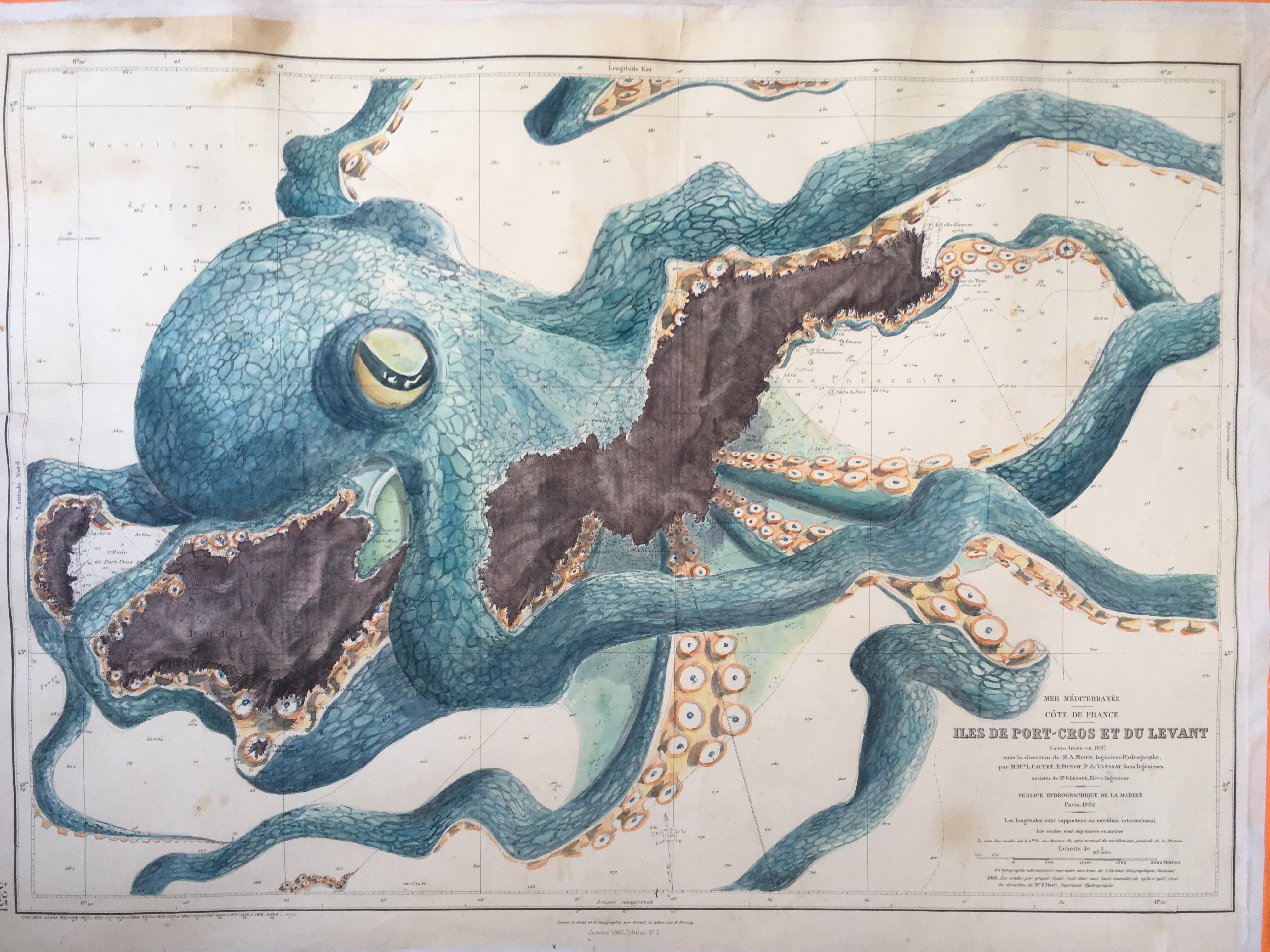 Poulpe bleu- aquarelle sur carte marine - sabine chautard