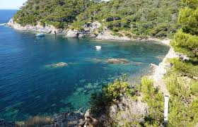 VUE PRESQU'ILE SENTIER RANDONNEE - Les Mandariniers