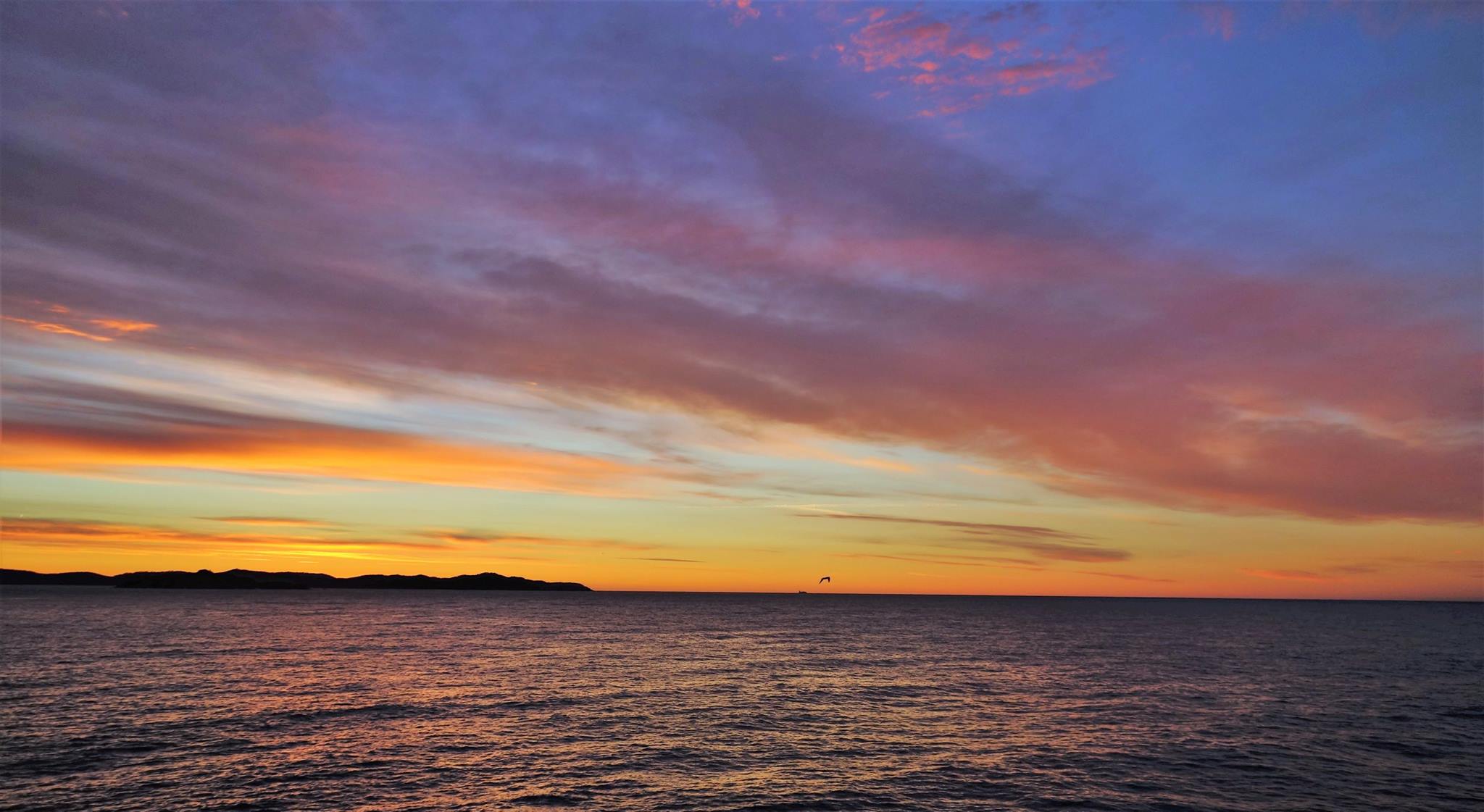 Latitude pêche - guide professionnel de pêche dans le Var - latitude peche