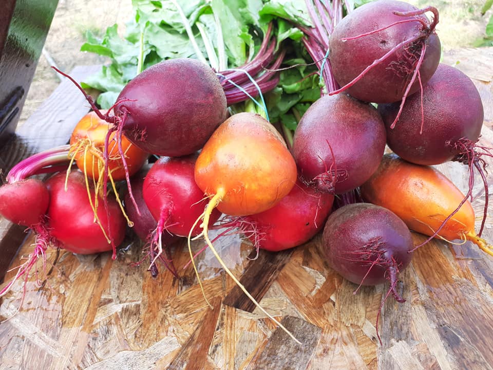 Lucie CRE Producteur fruits et Légumes culture raisonnée - Lucie CRE Producteur fruits et Légumes culture raisonnée