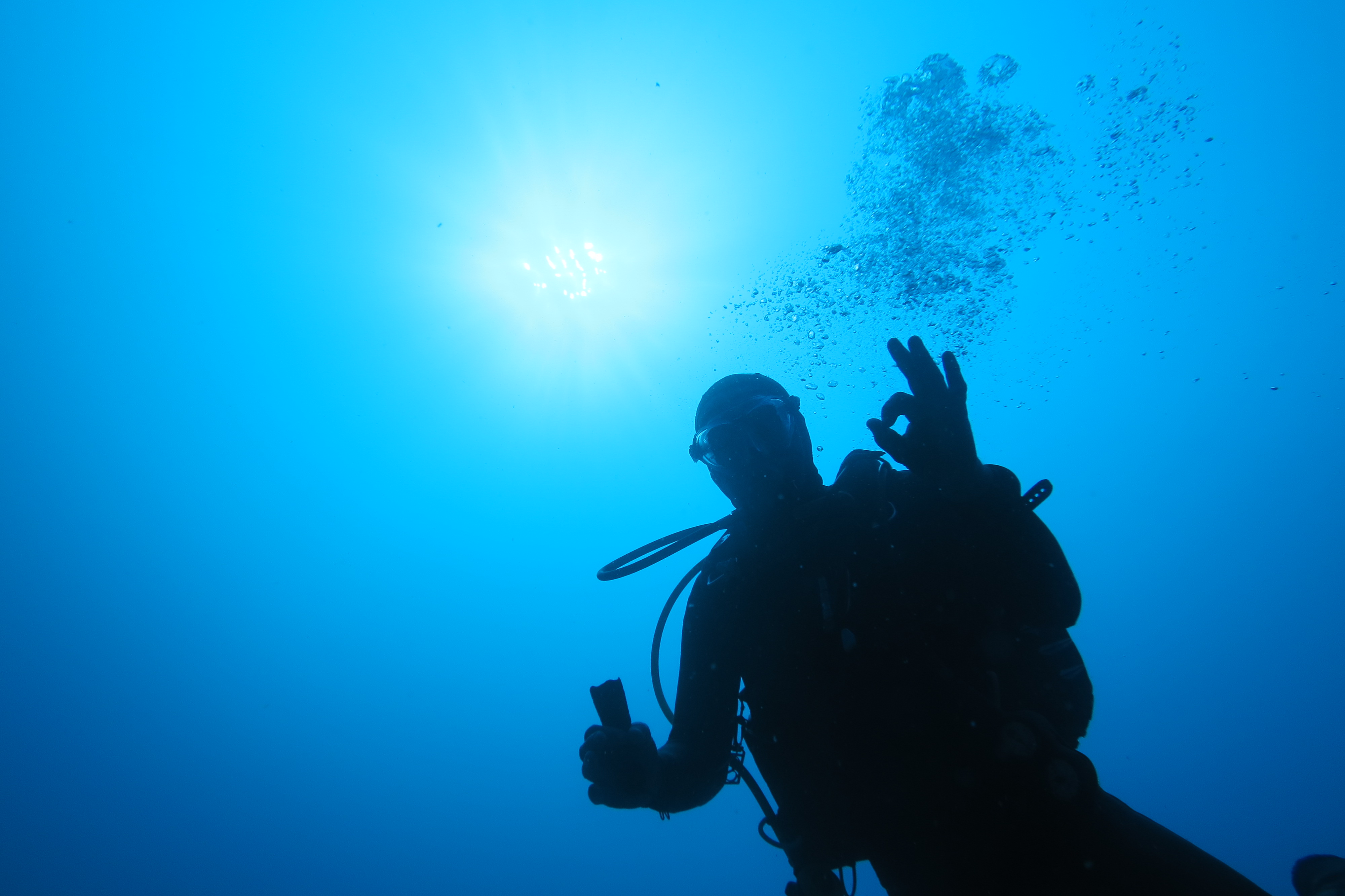 Le Brusc Plongée - Le Brusc Plongée