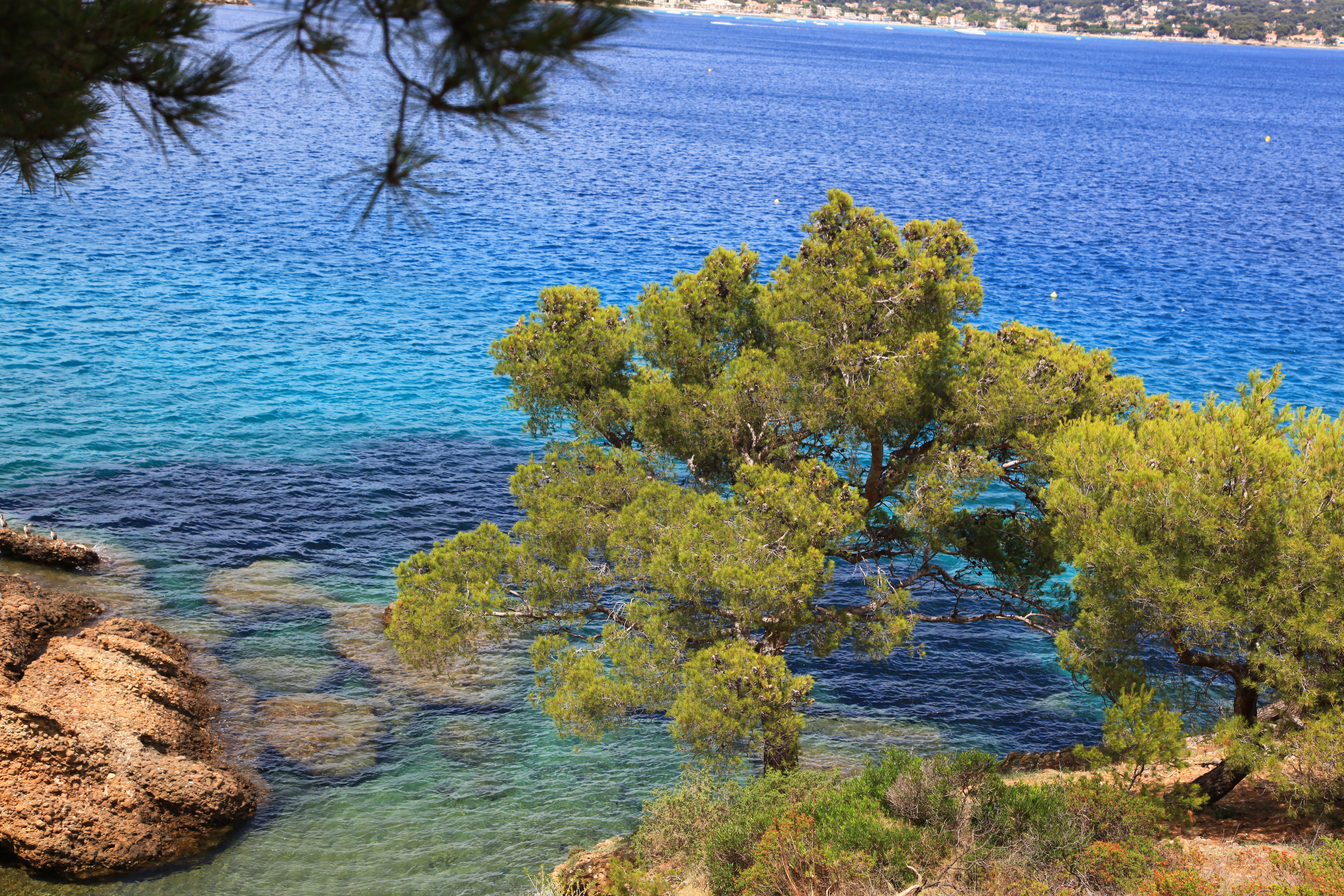 Location de bateaux avec ou sans skipper - SV Jet