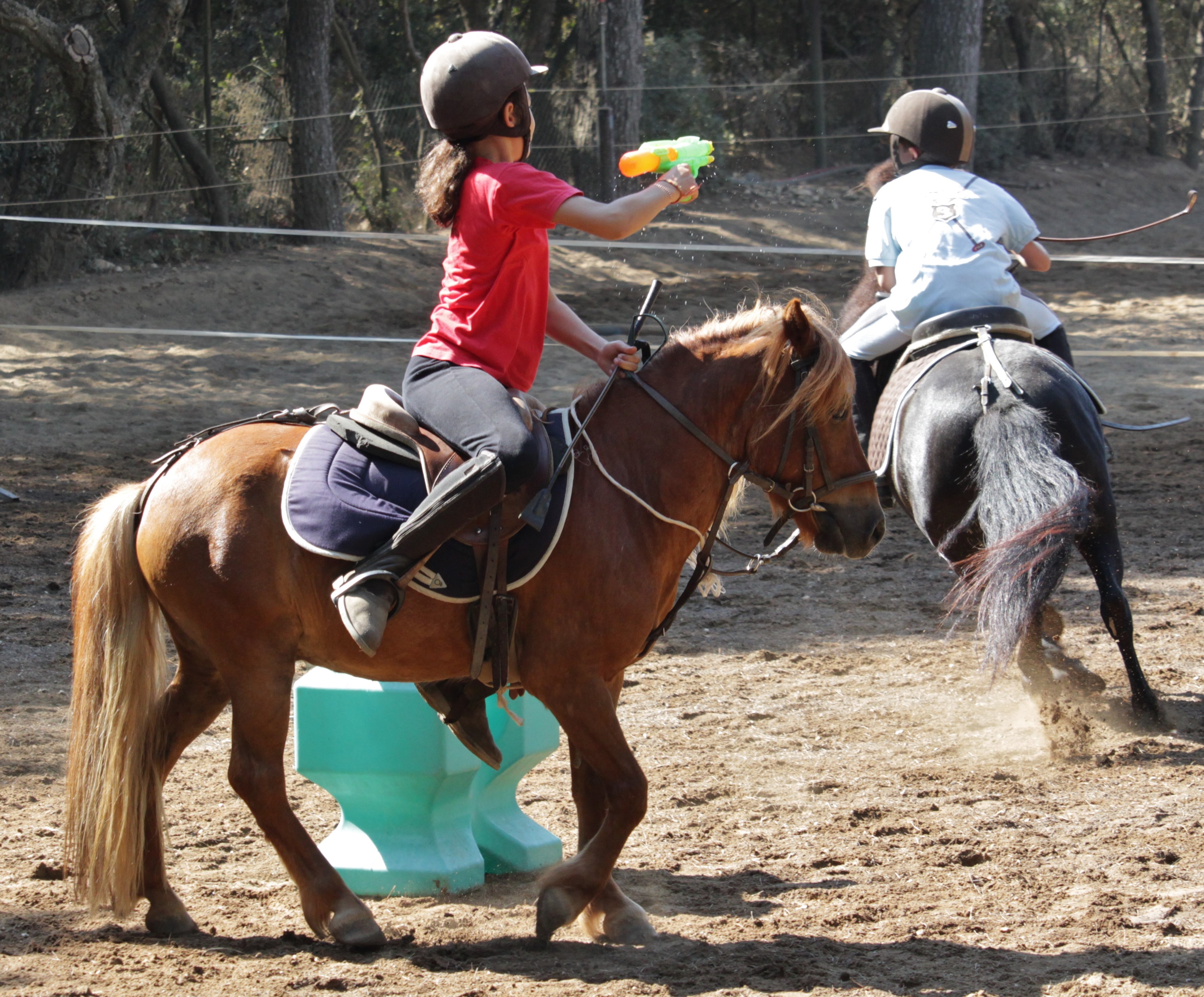 stages au Poney Club des Oratoires - Poney Club des Oratoires