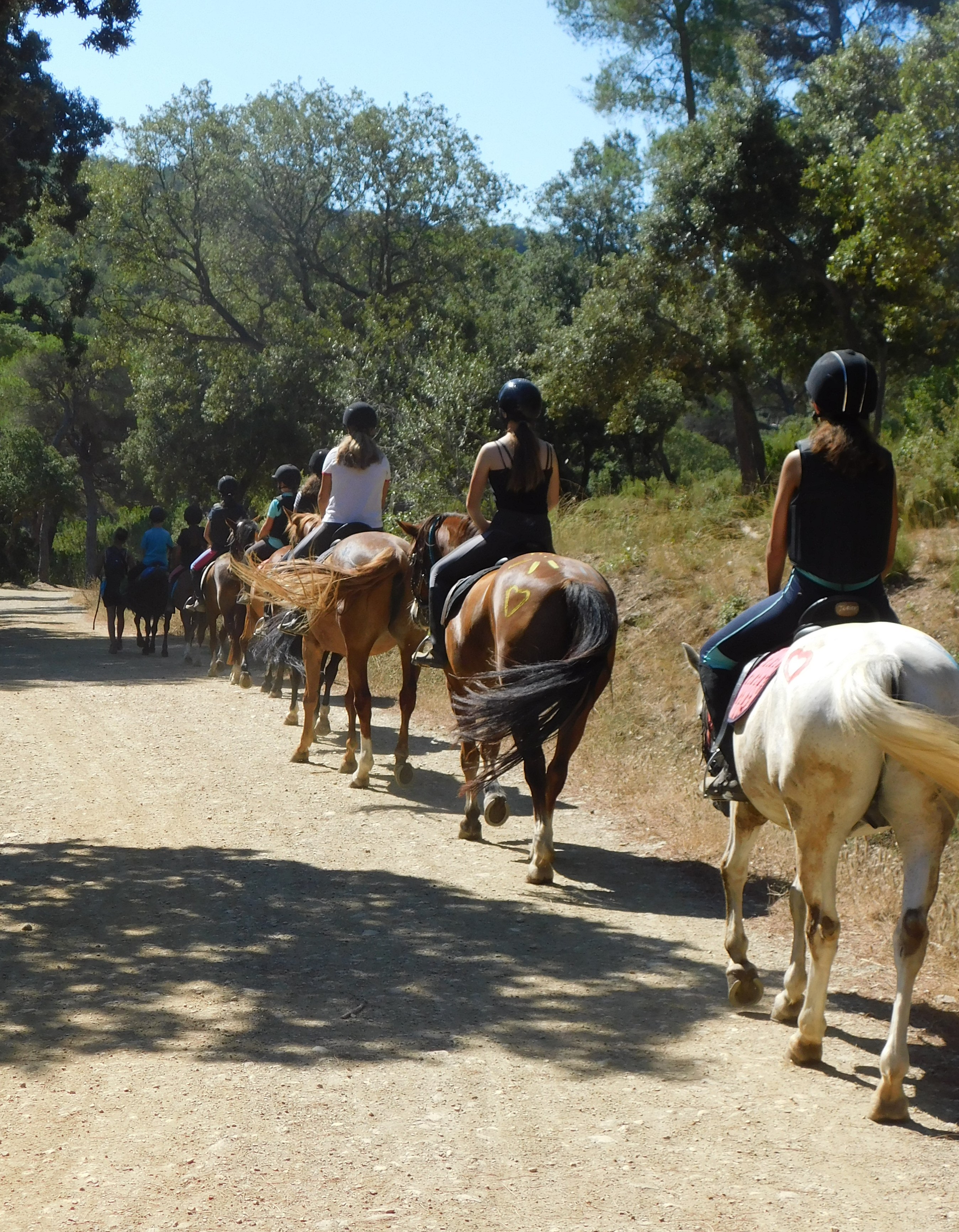 Balades l'étéau Poney Club des Oratoires - Poney Club des Oratoires