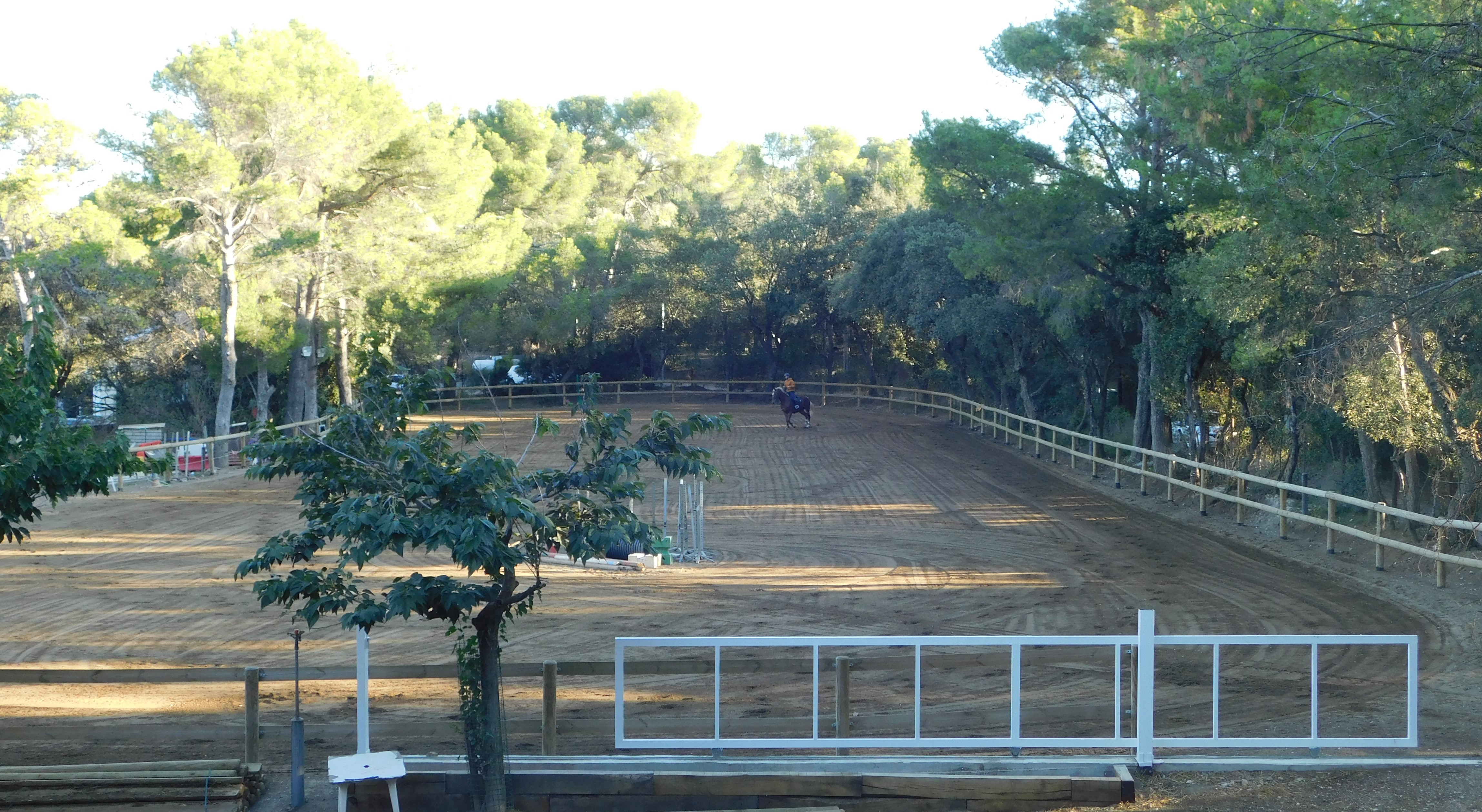 Grande carrière du Poney Club des Oratoires - Poney Club des Oratoires