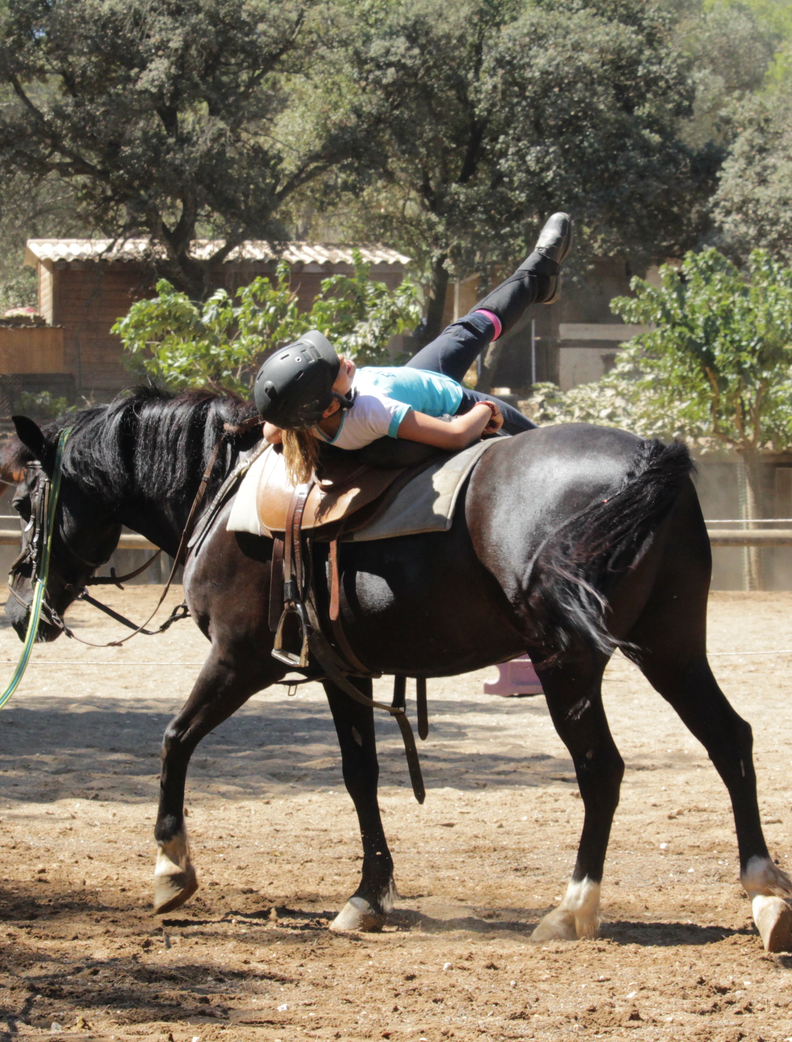 Voltige en stage - Poney Club des Oratoires