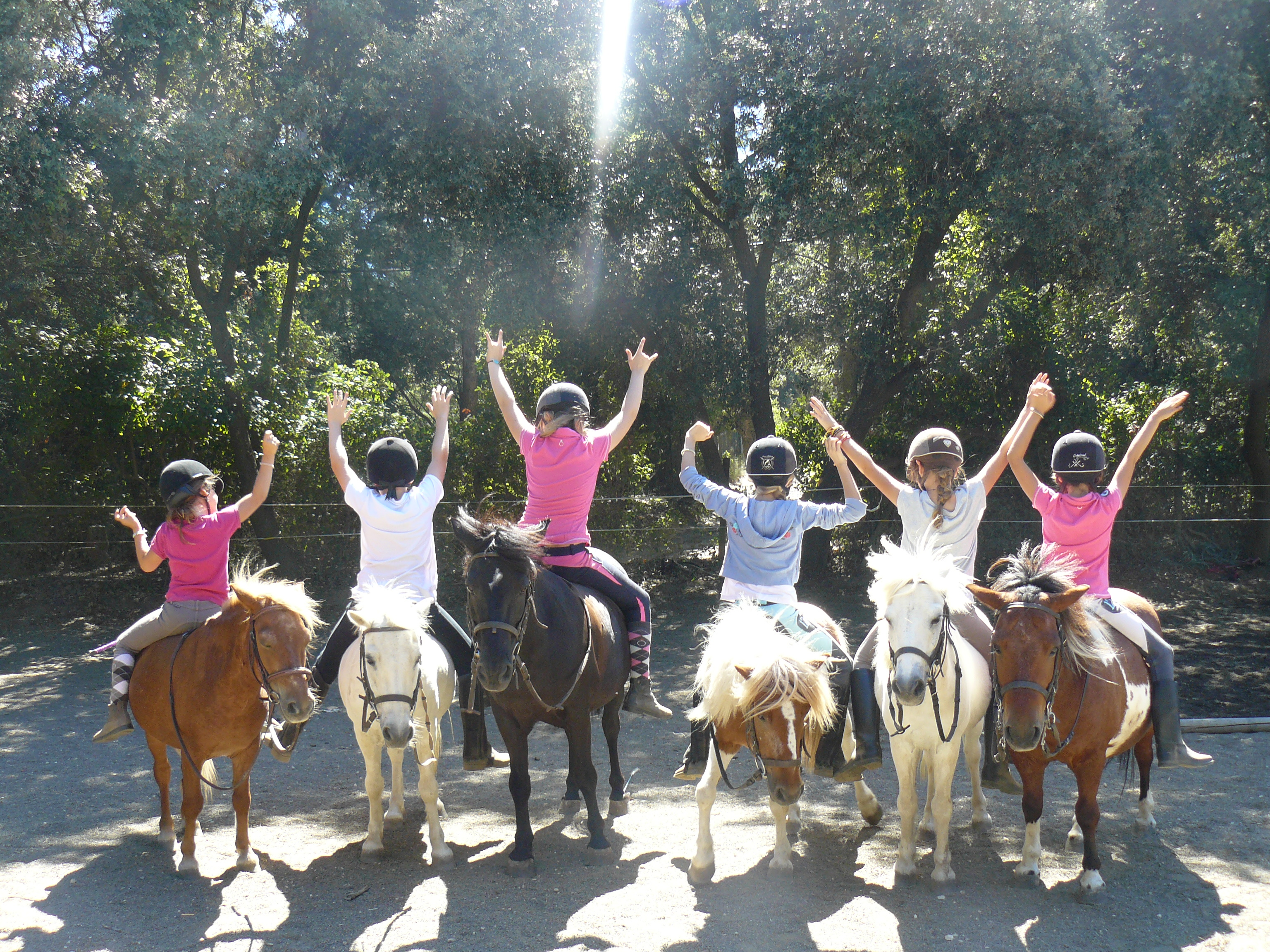 Poney Club des Oratoires - Poney Club des Oratoires