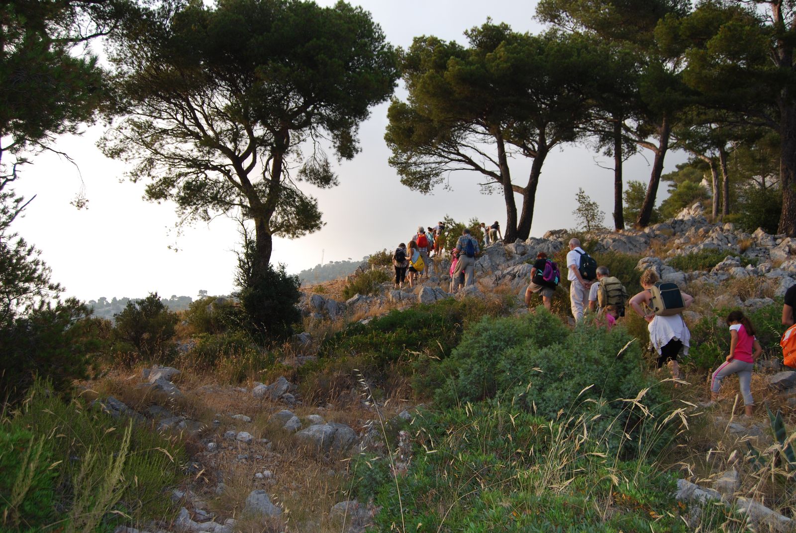 mont Faron - OT Toulon