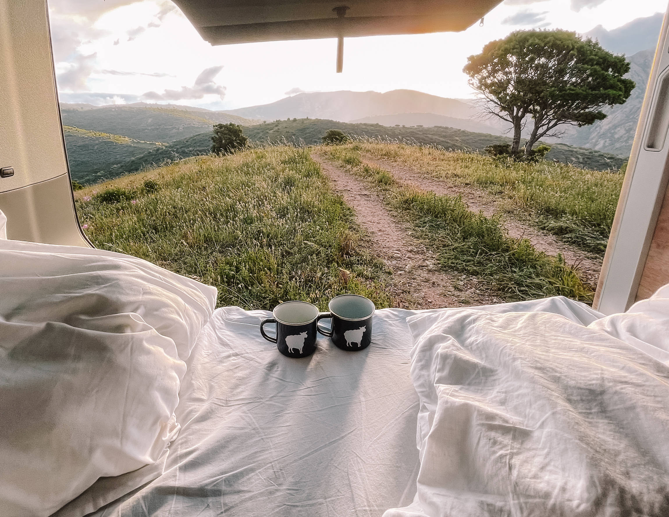 Black sheep - Black sheep