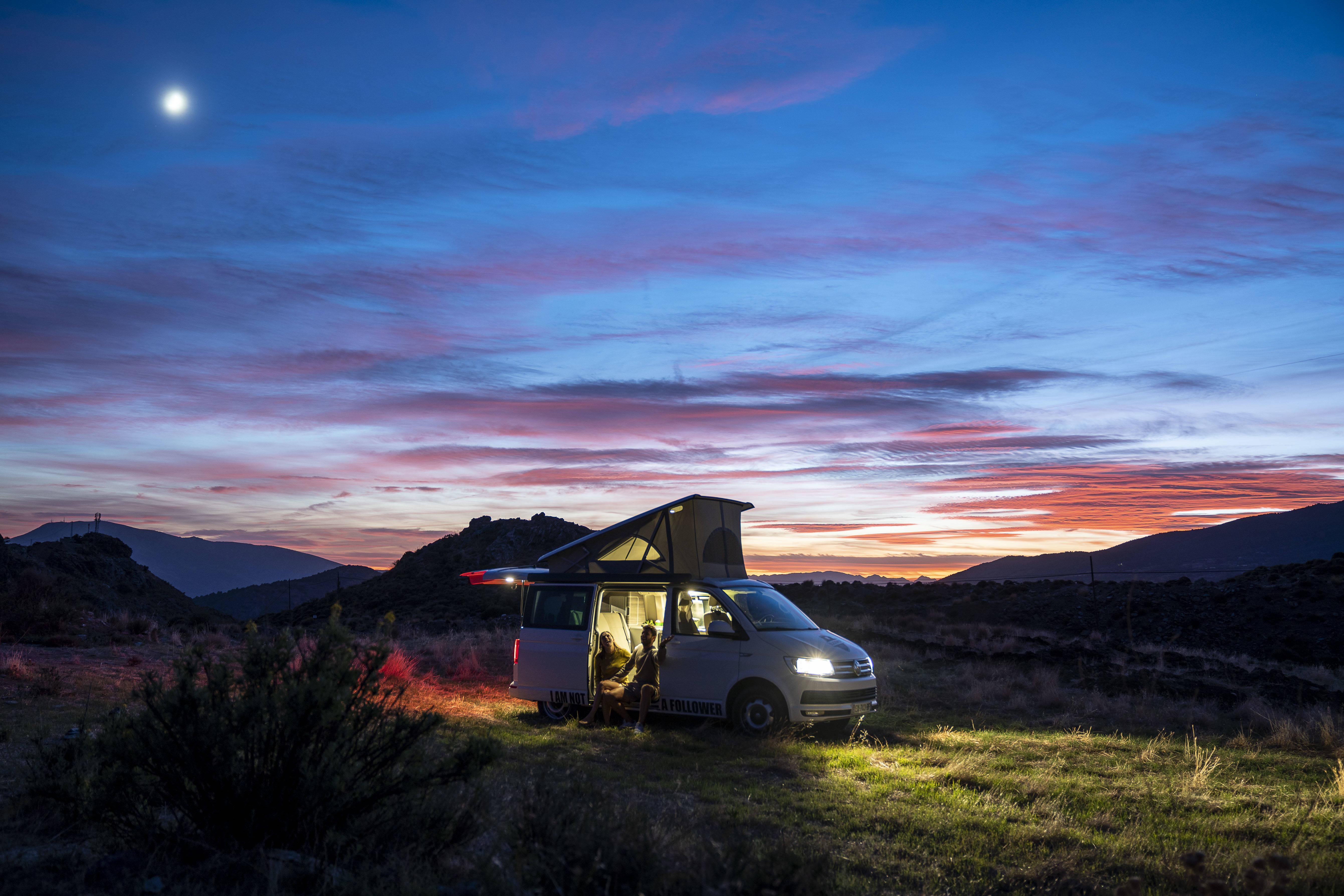 Black sheep - Black sheep