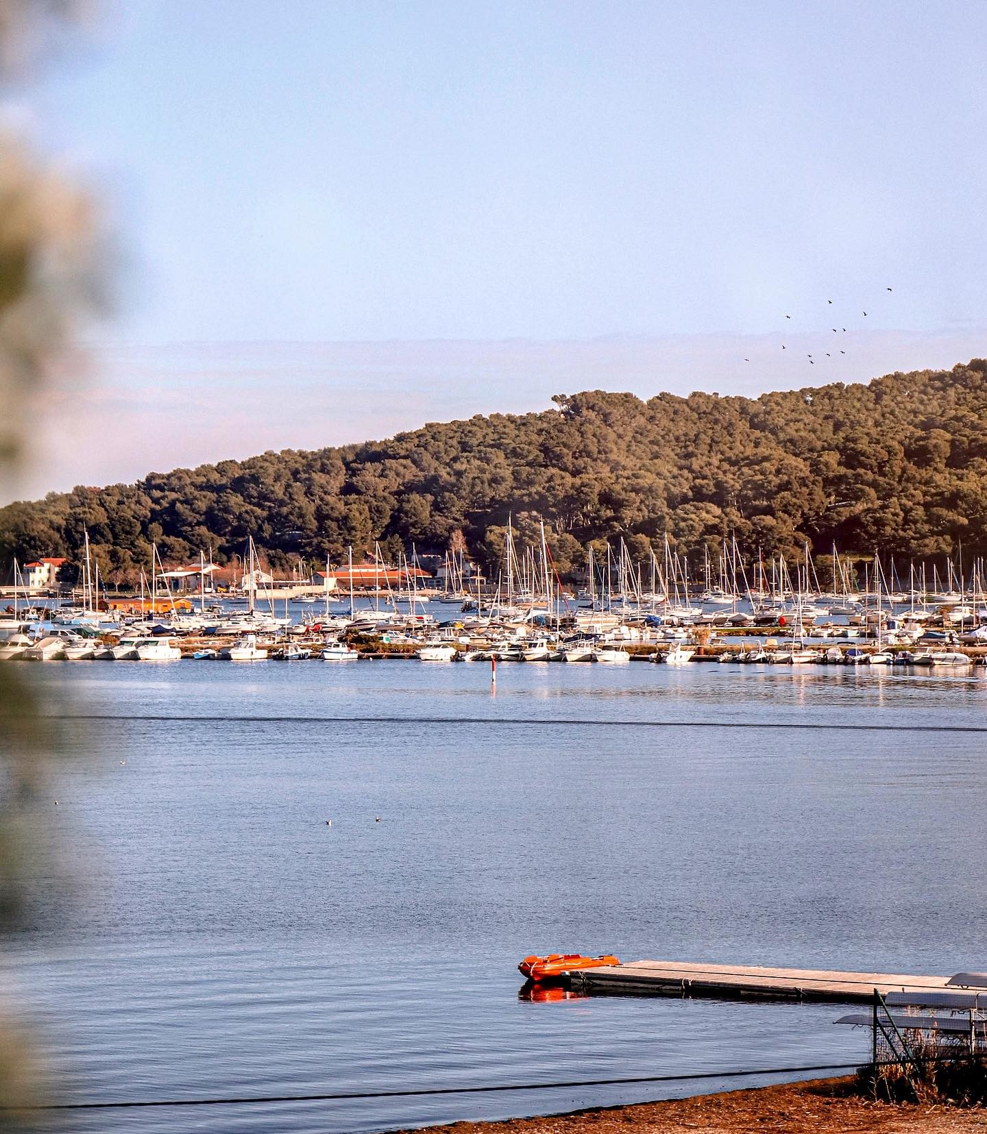 Le Georges - legeorges83