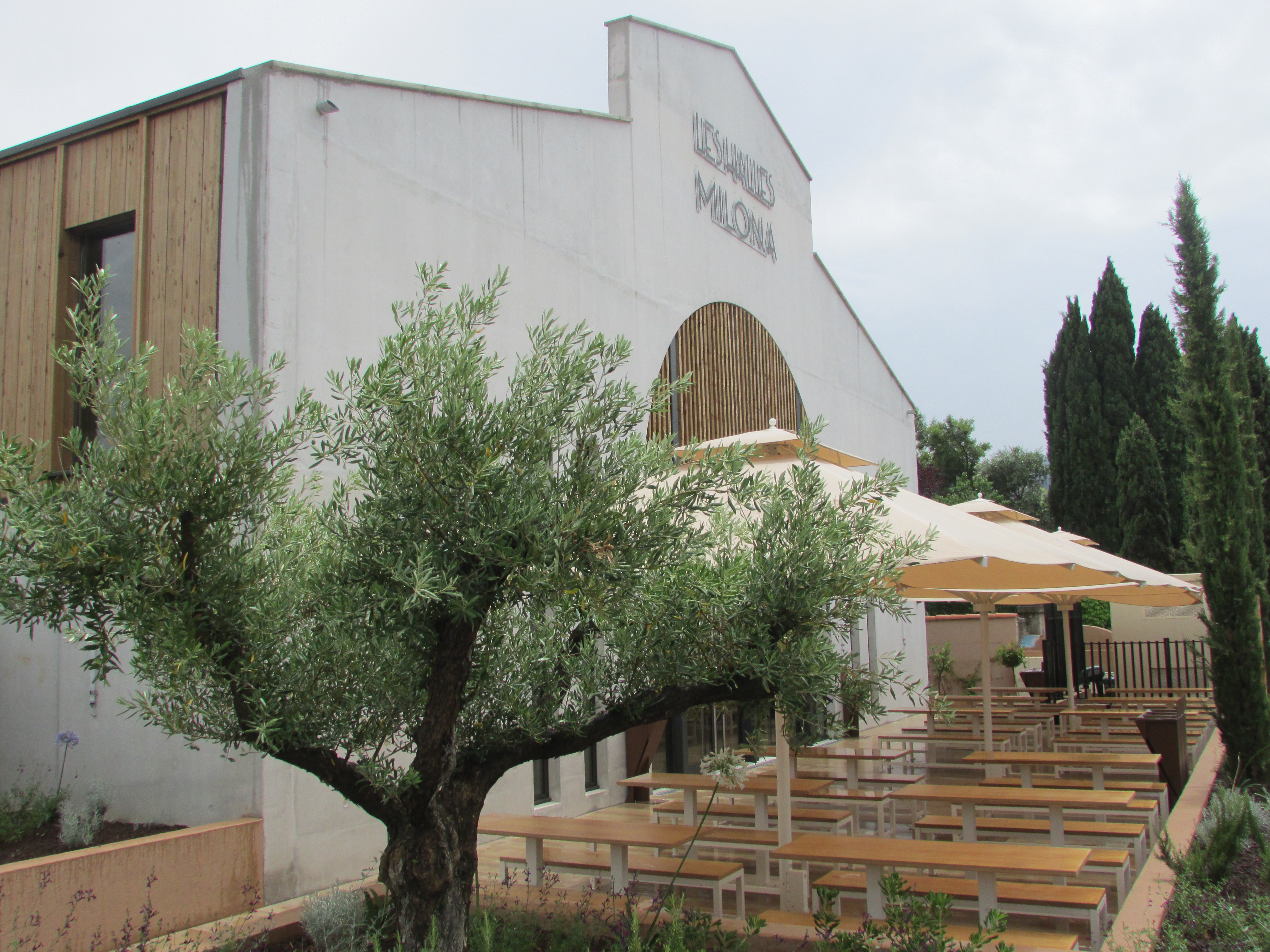 Les Halles Milona - Y.S.