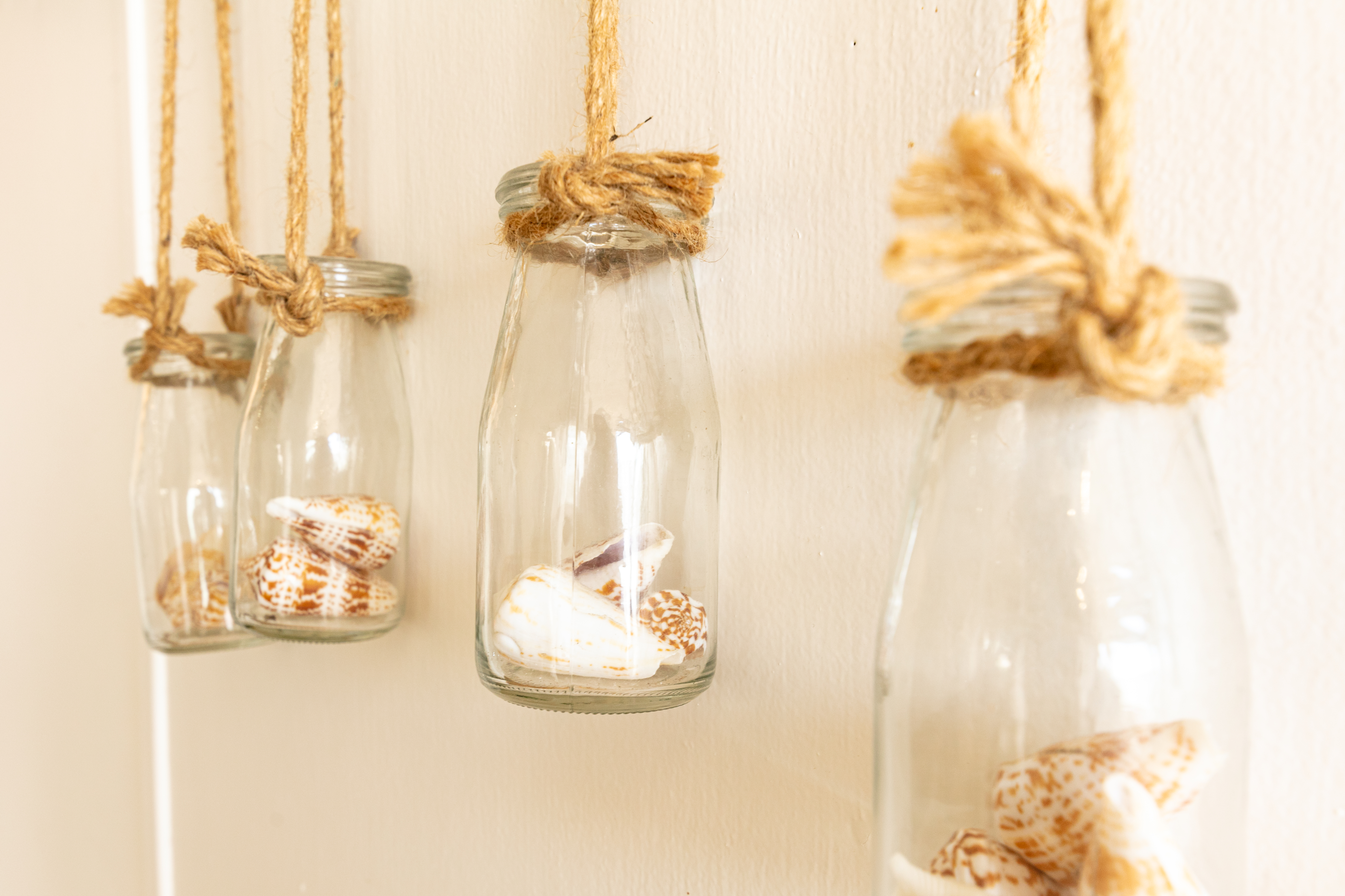 Cabanon La Roche - Giens - Domaine de la Presqu'île de Giens