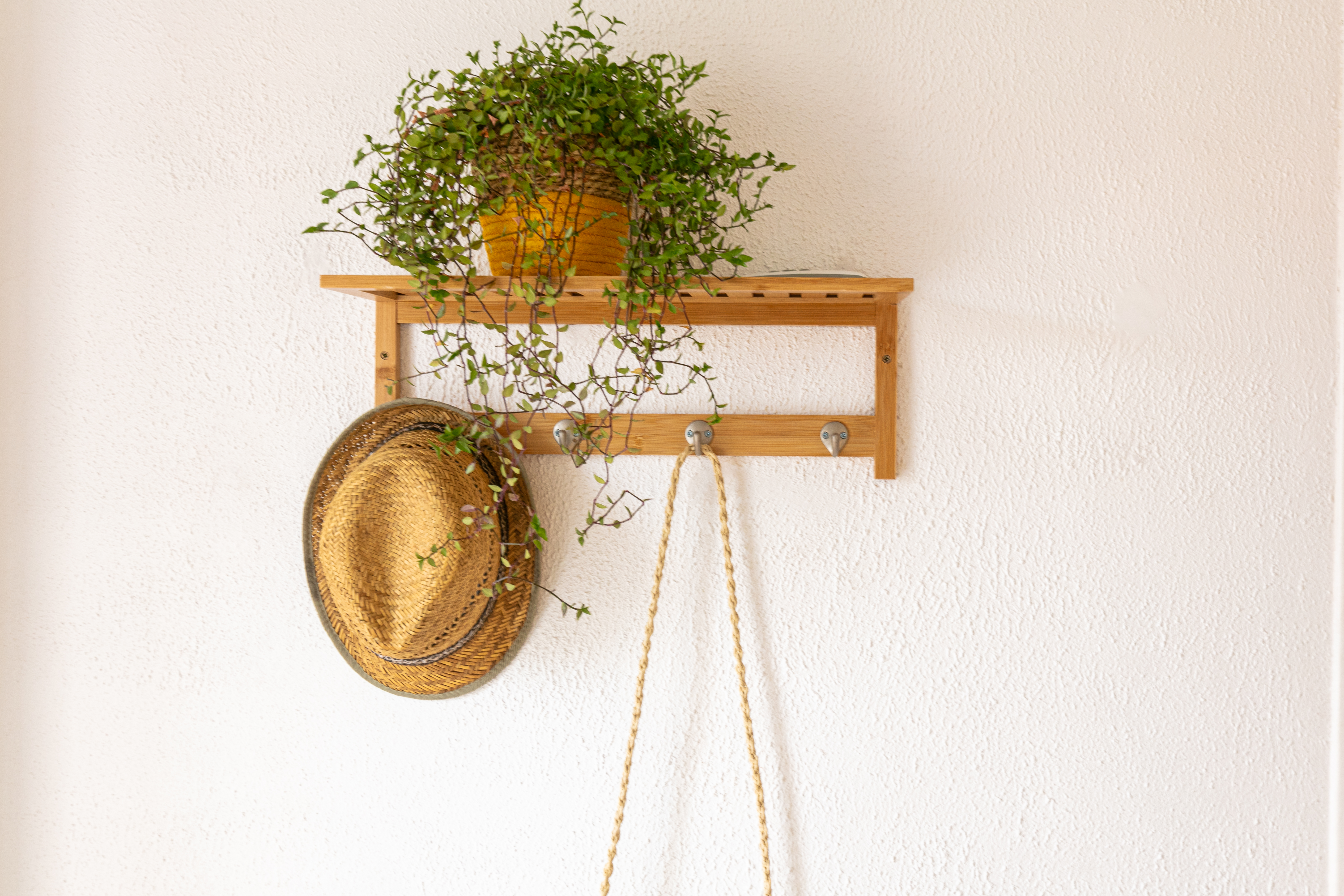 La Maison de Papou - Giens - Domaine de la Presqu'île de Giens