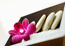 Spa Thalgo la Coupole - Spa Thalgo la Coupole