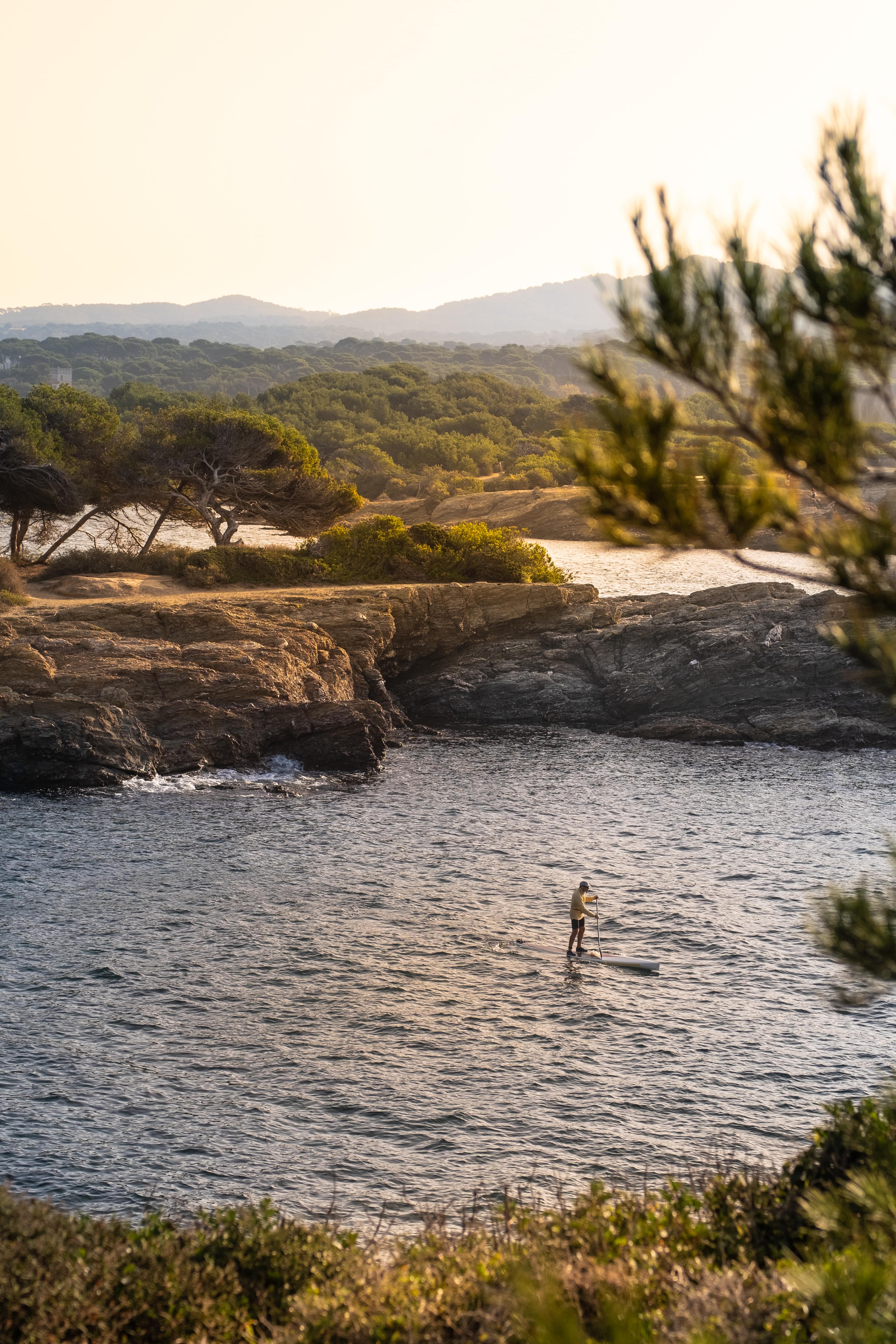 Wing Foil - Société Paul Ricard