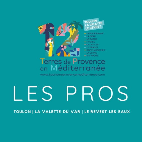 Picto Les Pros - Toulontourisme