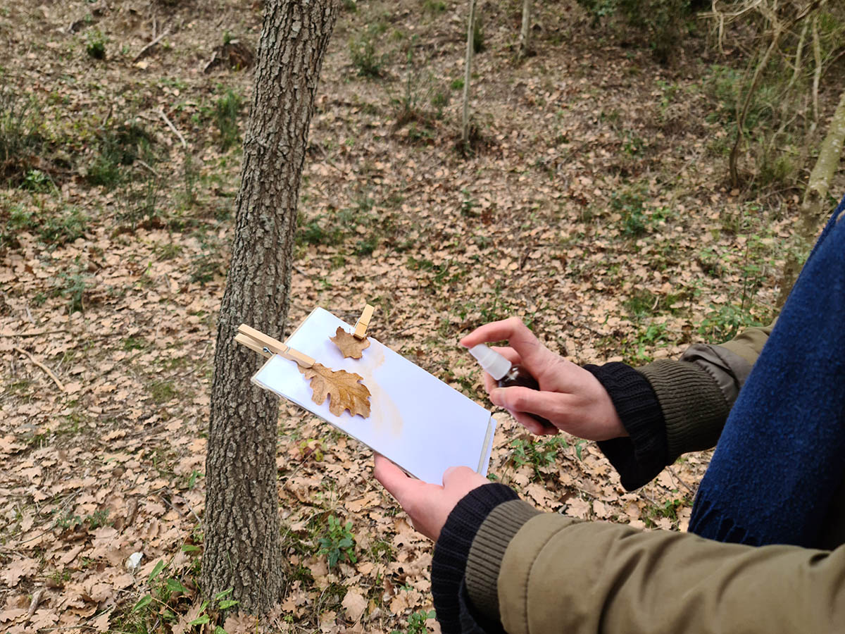Visite ludique et scientifique avec Sorciences - OITPM
