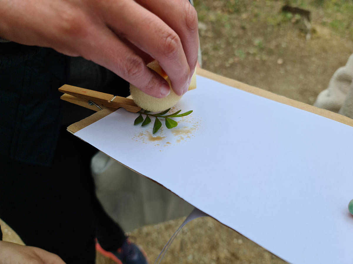 Visite ludique et scientifique avec Sorciences - OITPM