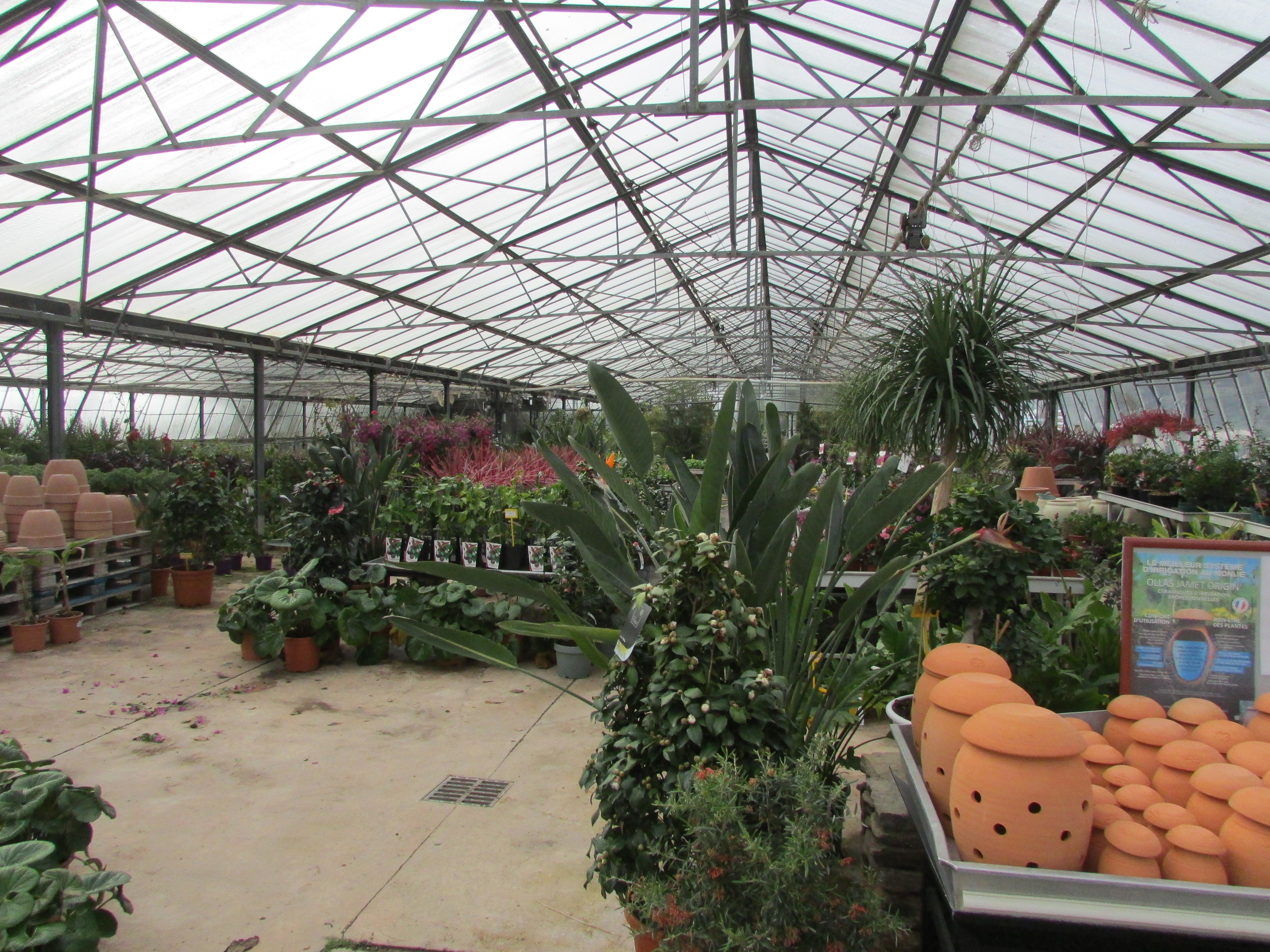 Pépinières de Montgolfier - Y.S.