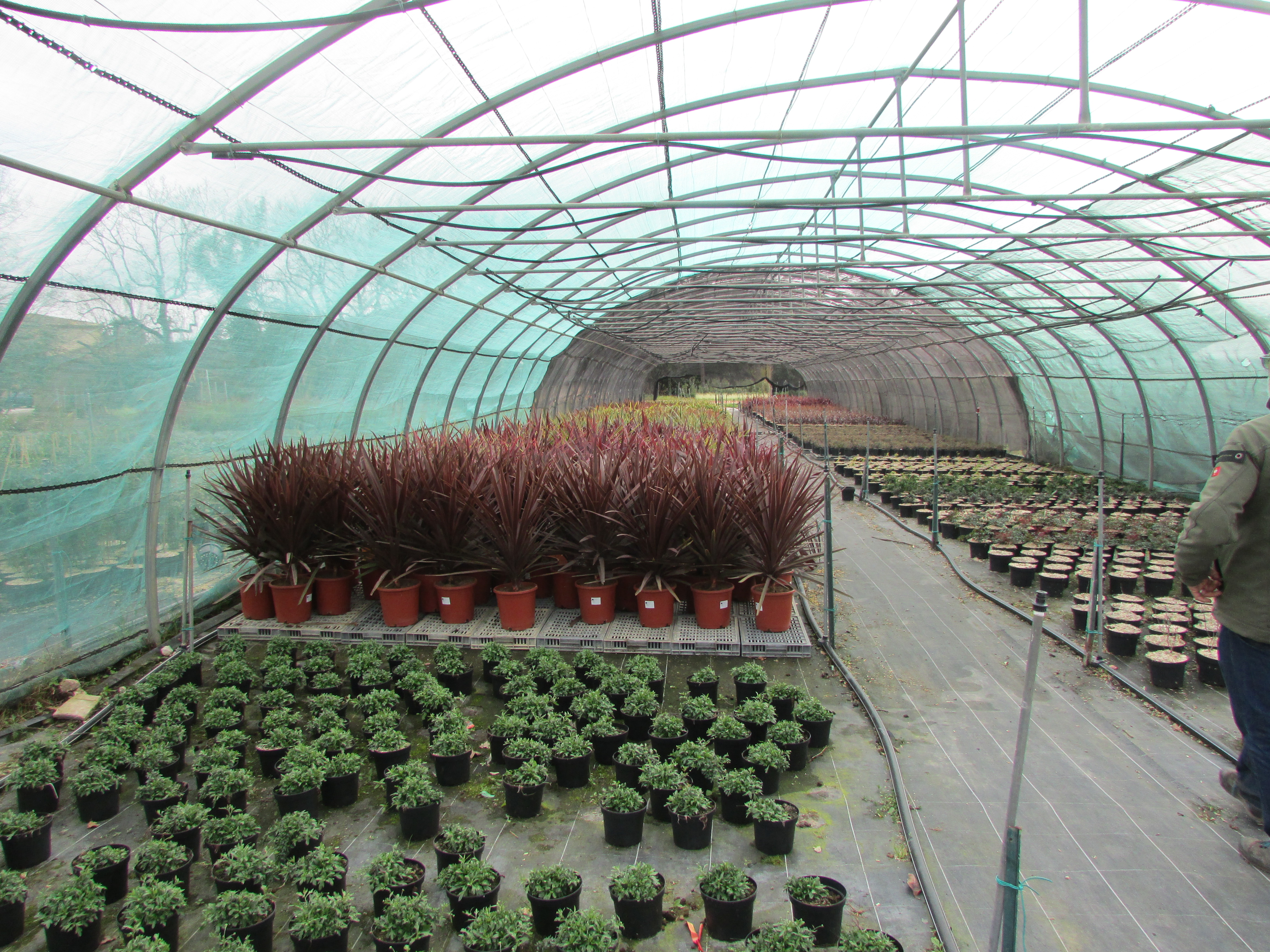 Pépinières de Montgolfier - Y.S.