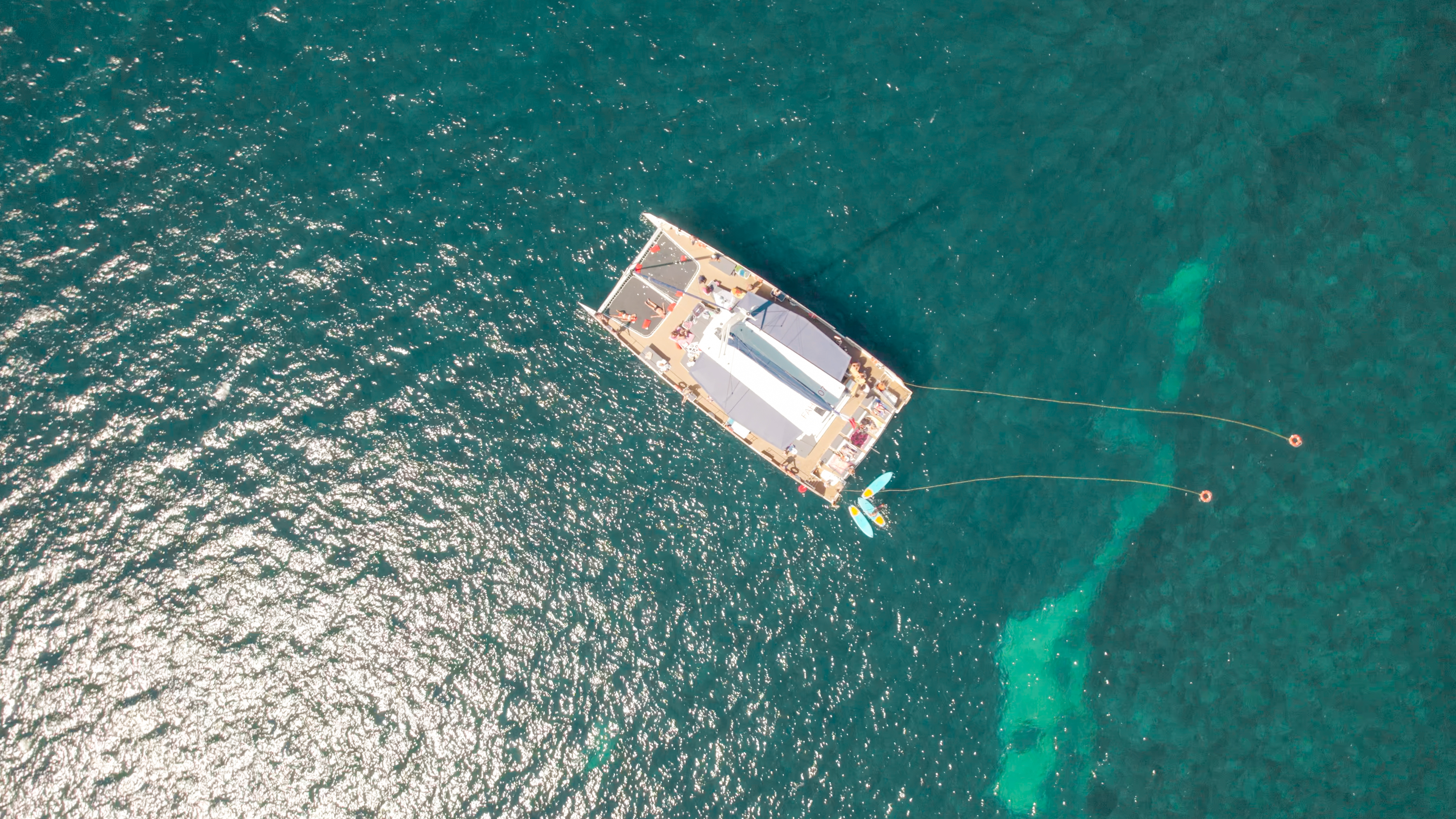 AMC maxicatamaran - AMC Cape Grace