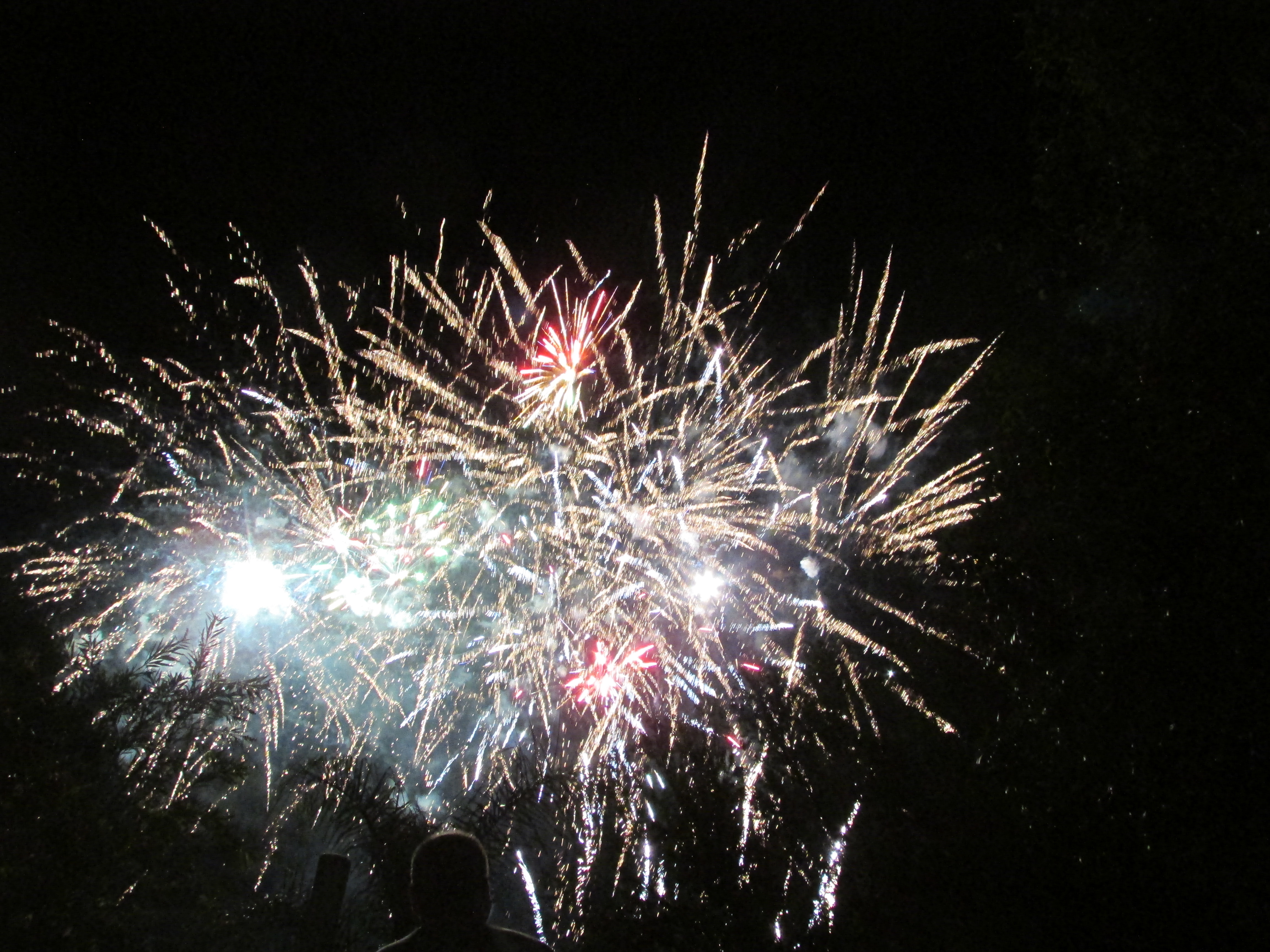 Feu d'artifice de La Moutonne - Y.S.