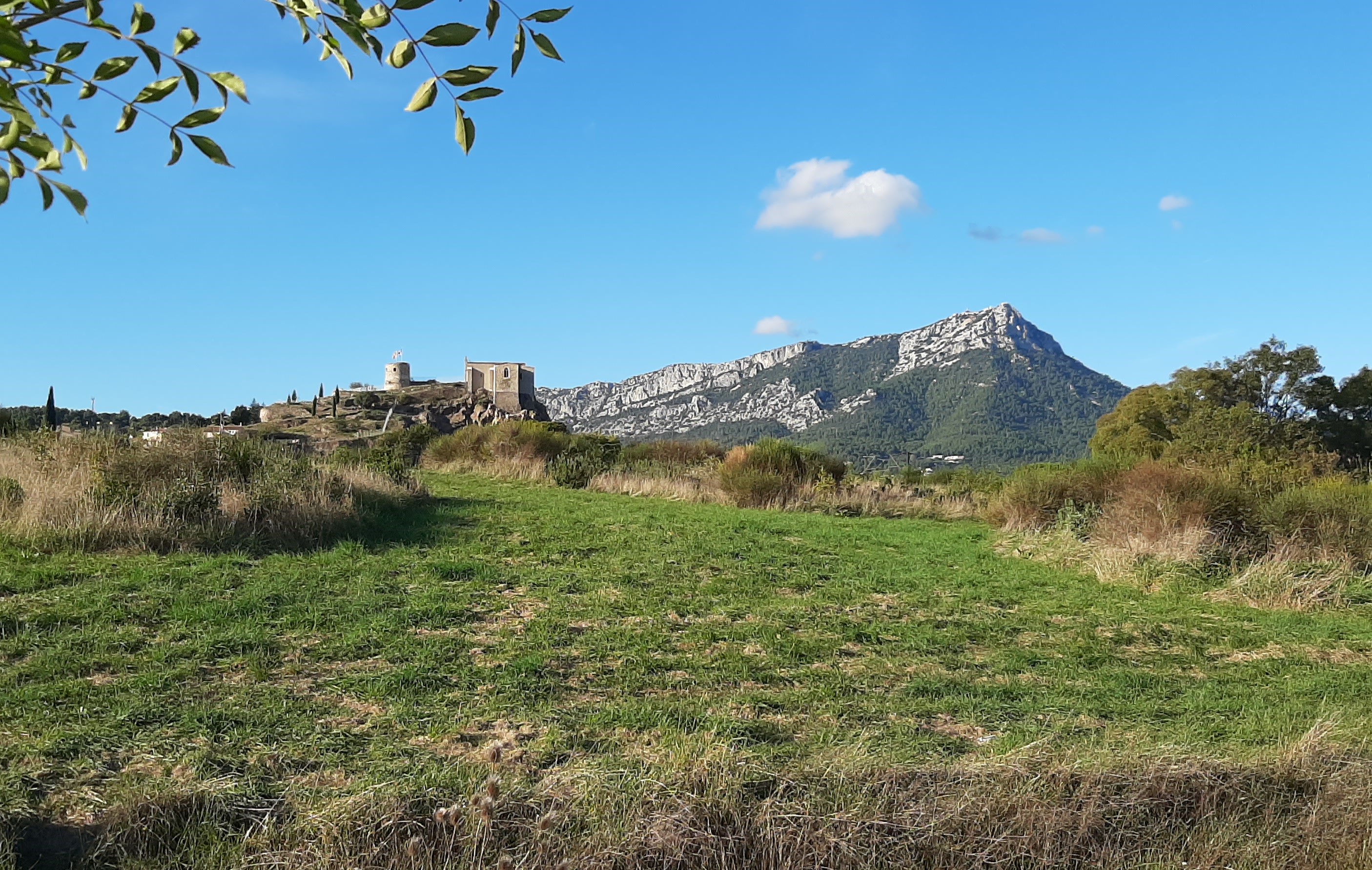 Sortie Botanistes en herbe - Emmanuelle CHEVALIER