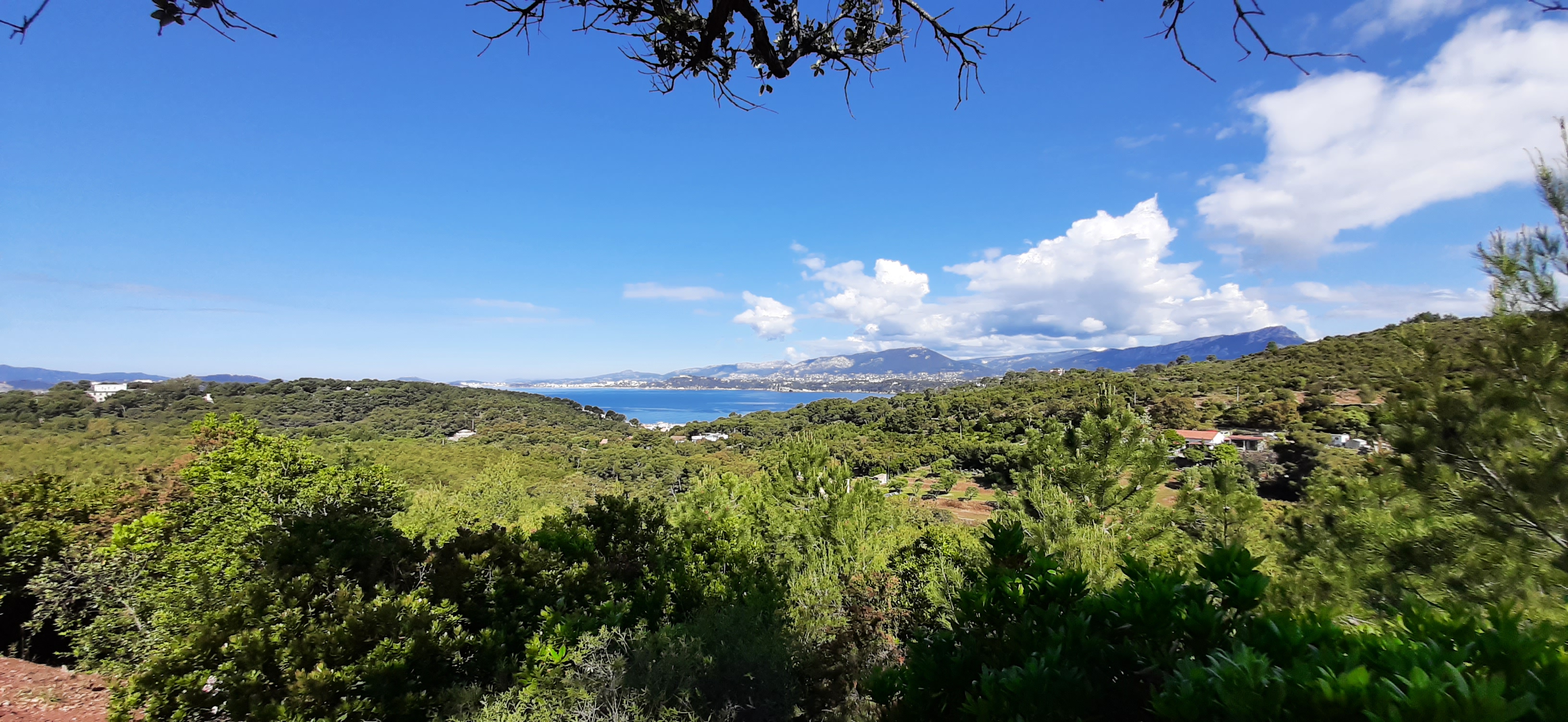 Sortie Plantes & self défense - Emmanuelle CHEVALIER