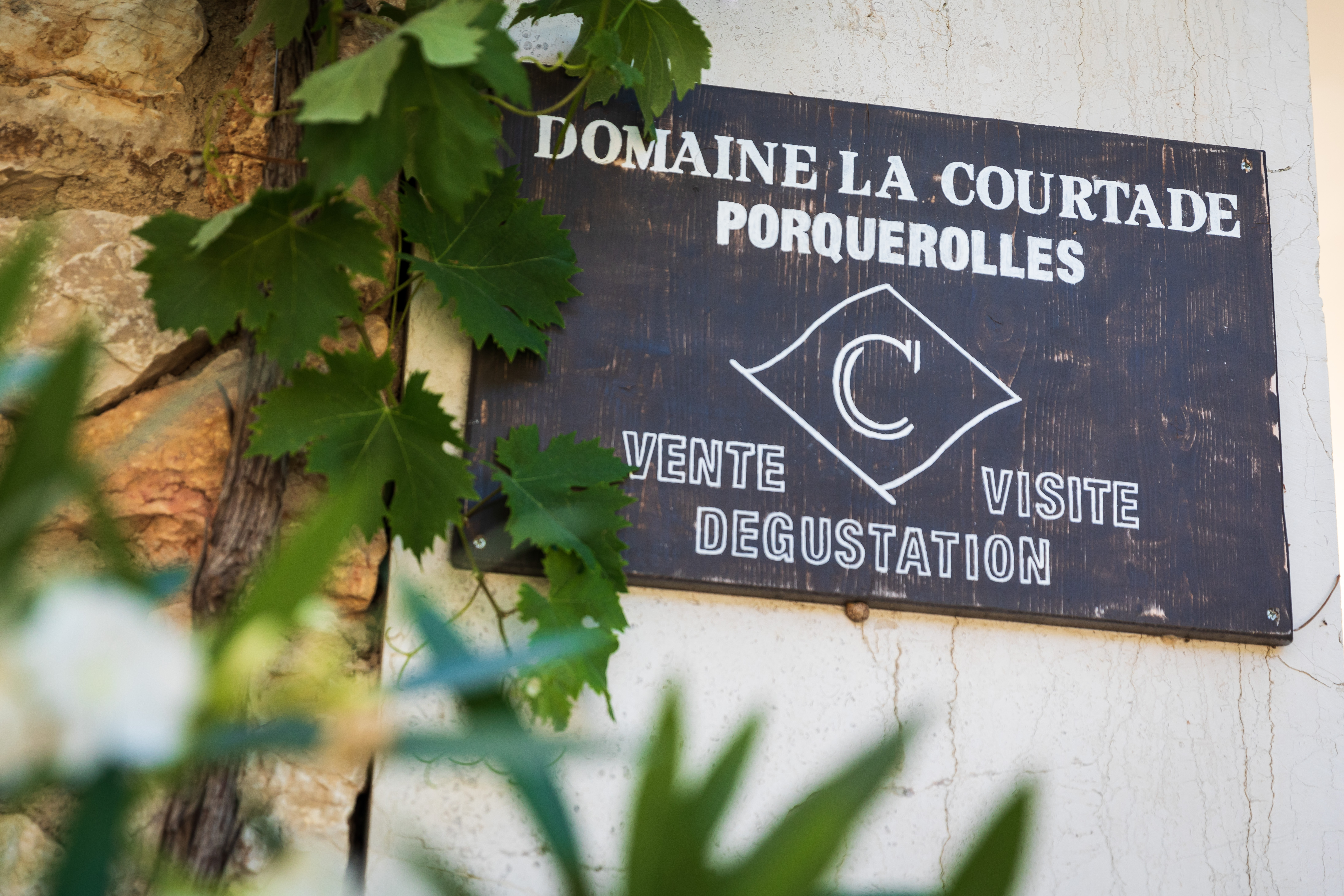 Porquerolles parc national Porquerolles Wine Land - Porquerolles Wine Land