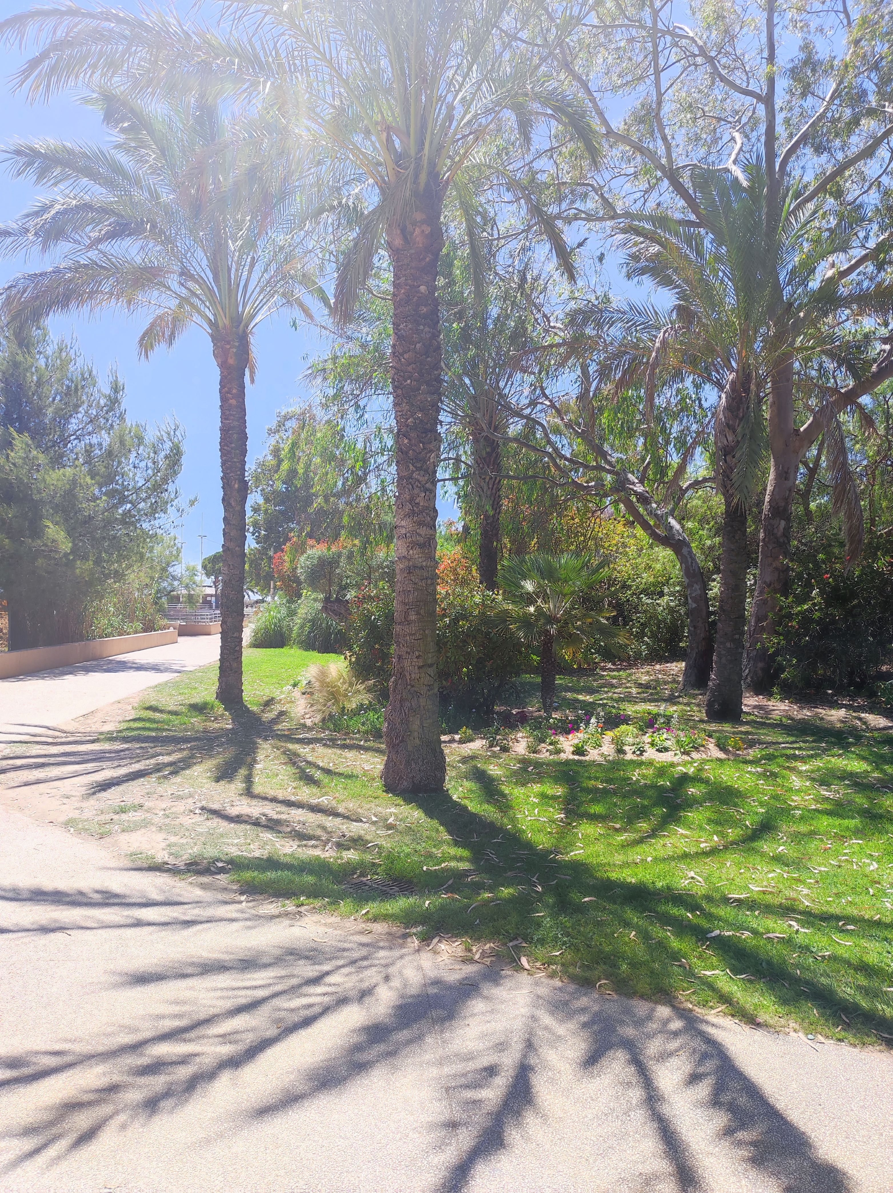 photo du parc des sablettes - COULANGE VALERIE