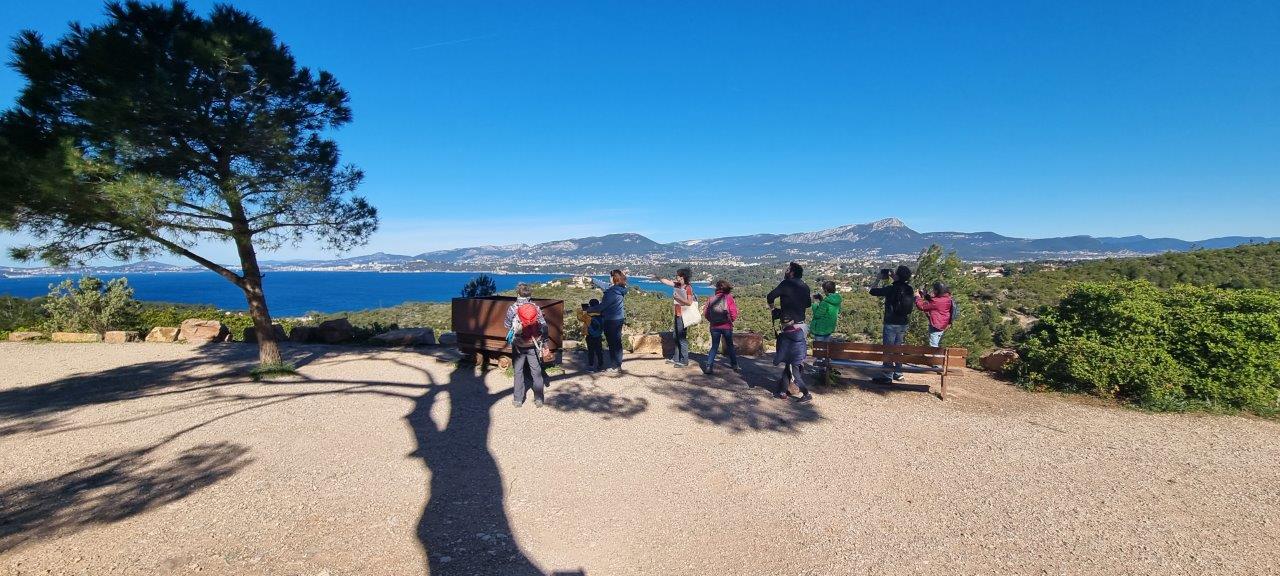 Sortie dinosaures&pissenlits - Frédéric SEGOURA