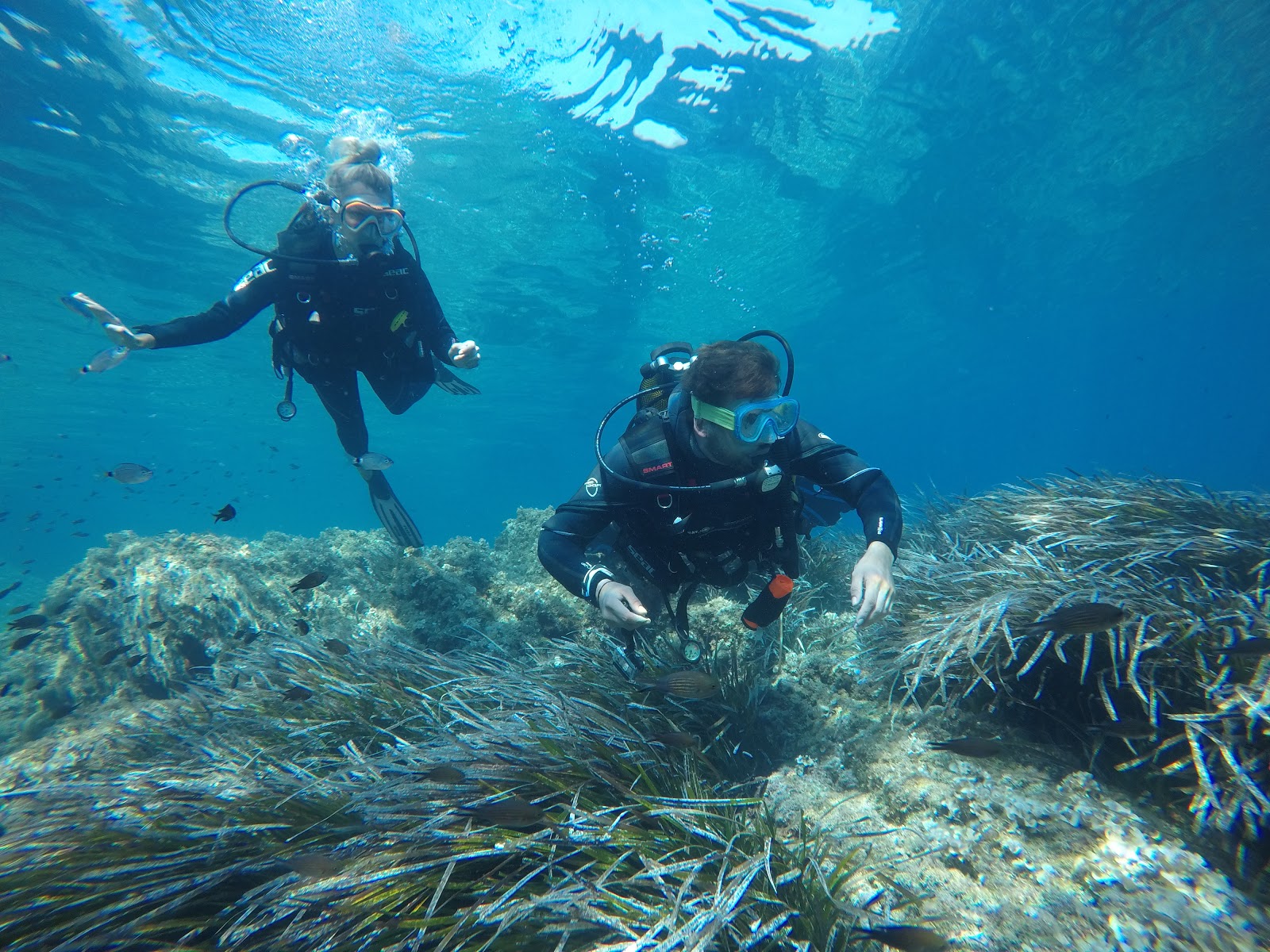 Plongeur - RANDOMARINE