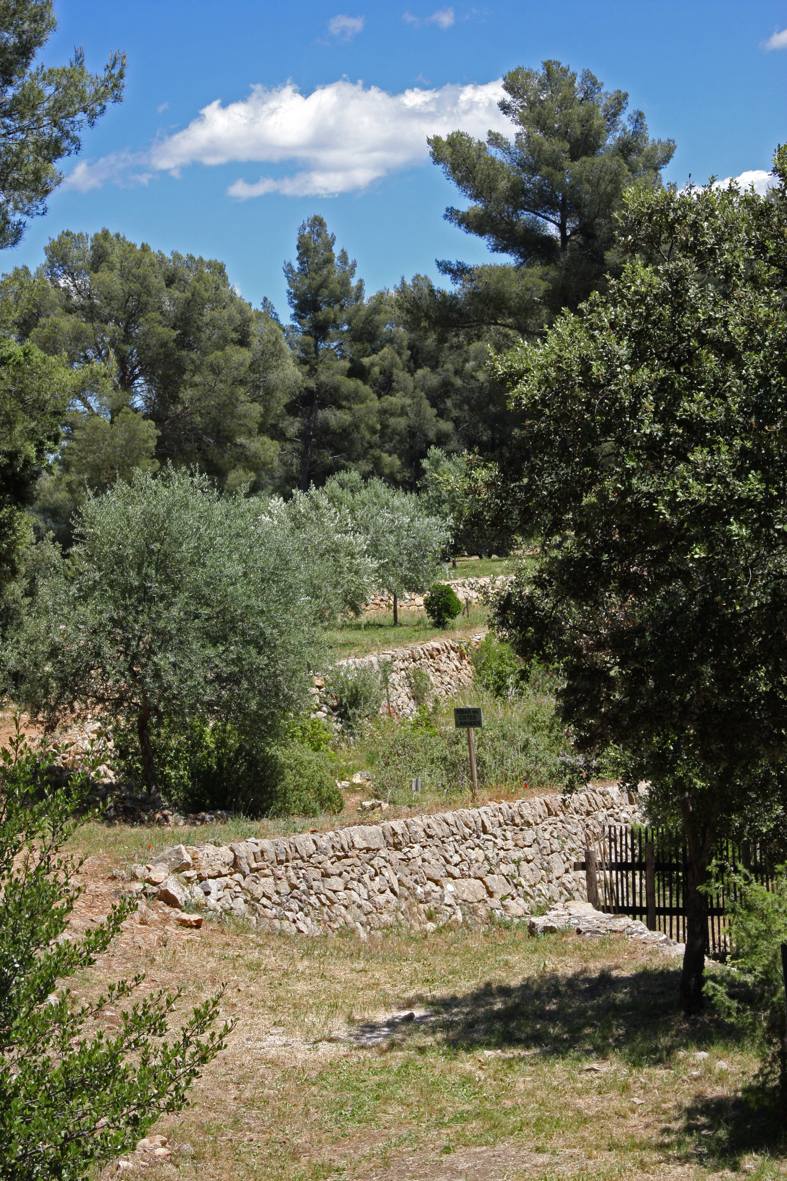 Restanques - © ville de la Valette