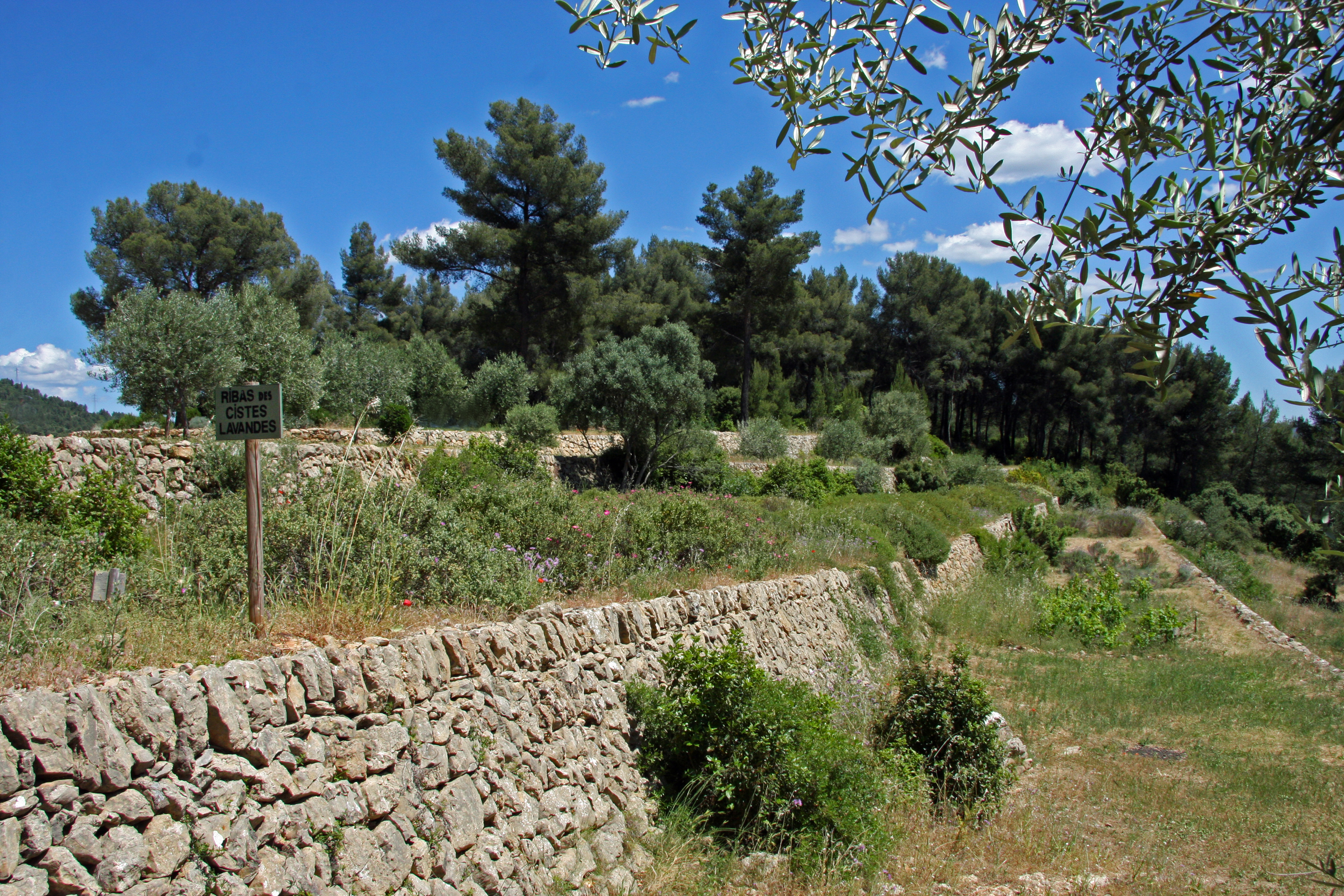 Restanques - © ville de la Valette