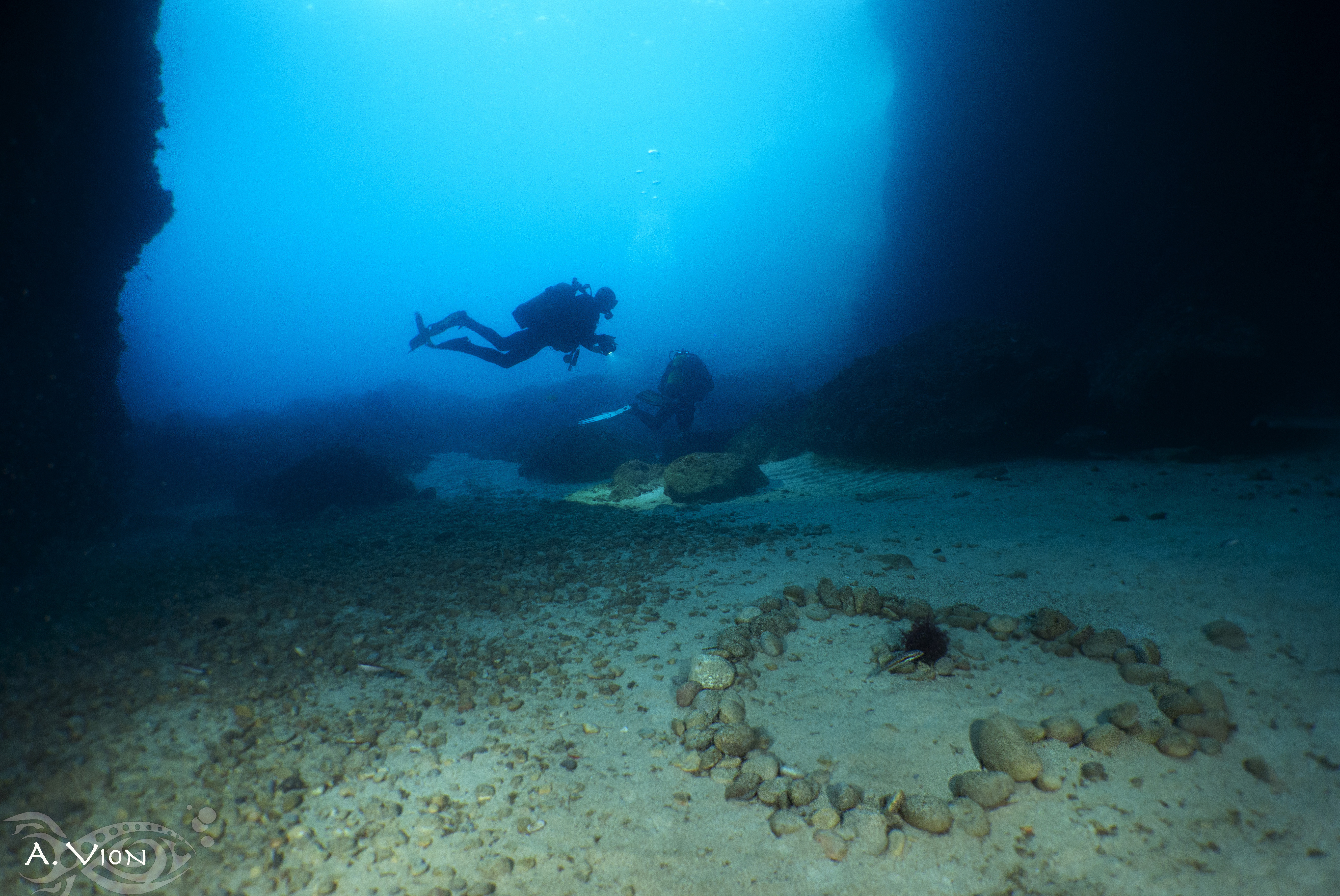 Grotte Fauconnière - Le Brusc Plongée