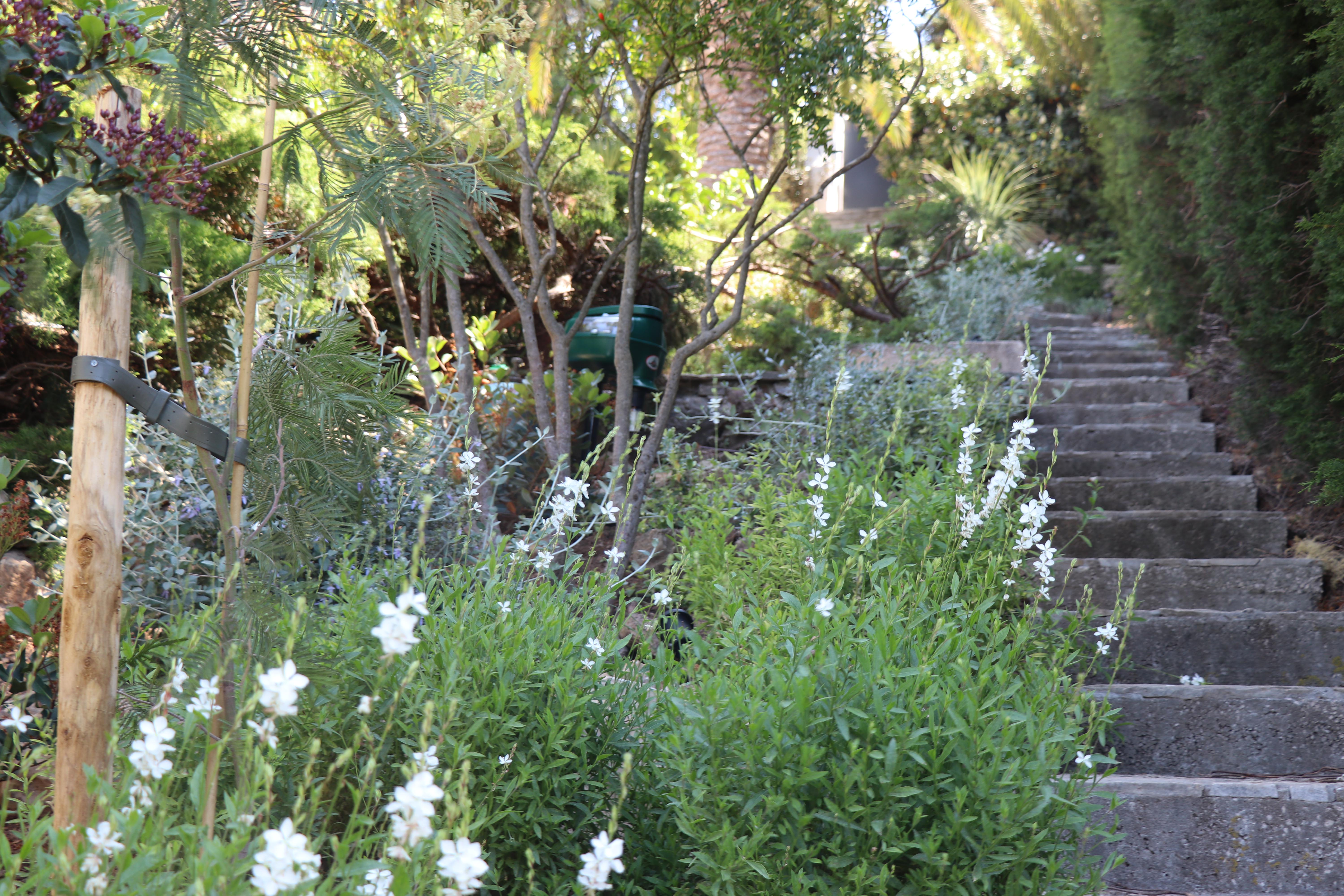 2020 - M. Delesalle Luc