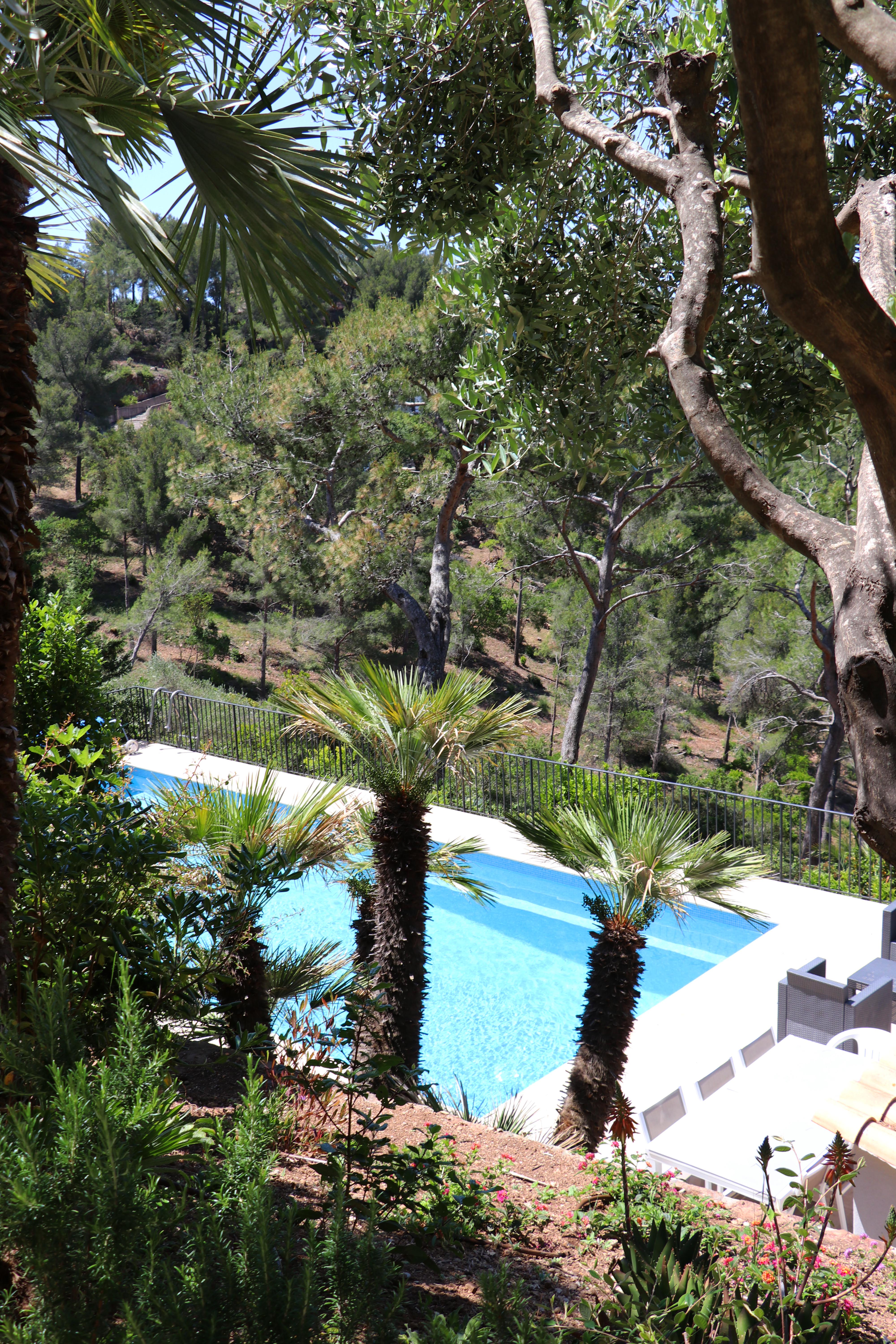 2020 - M. Delesalle Luc