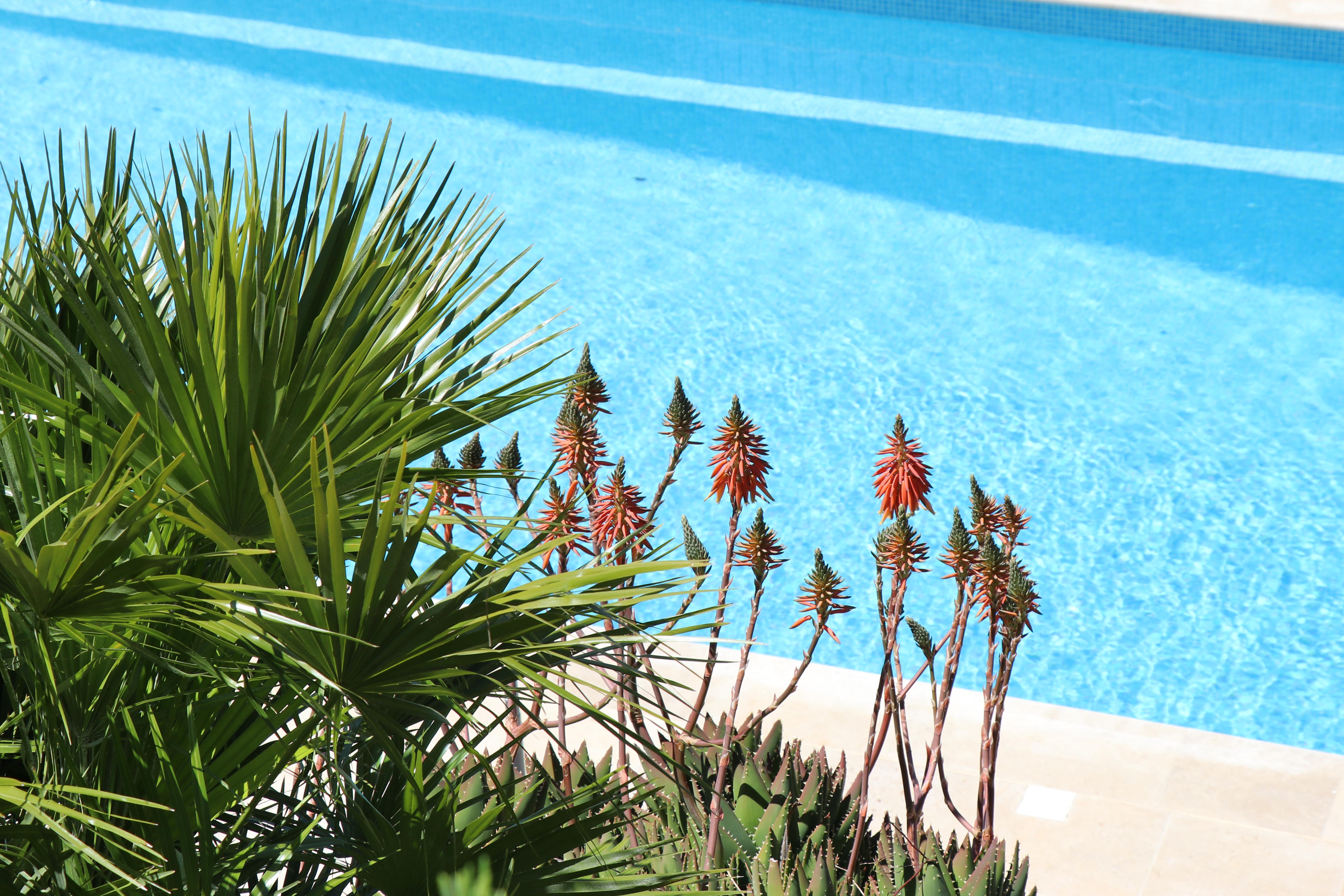 2020 - M. Delesalle Luc